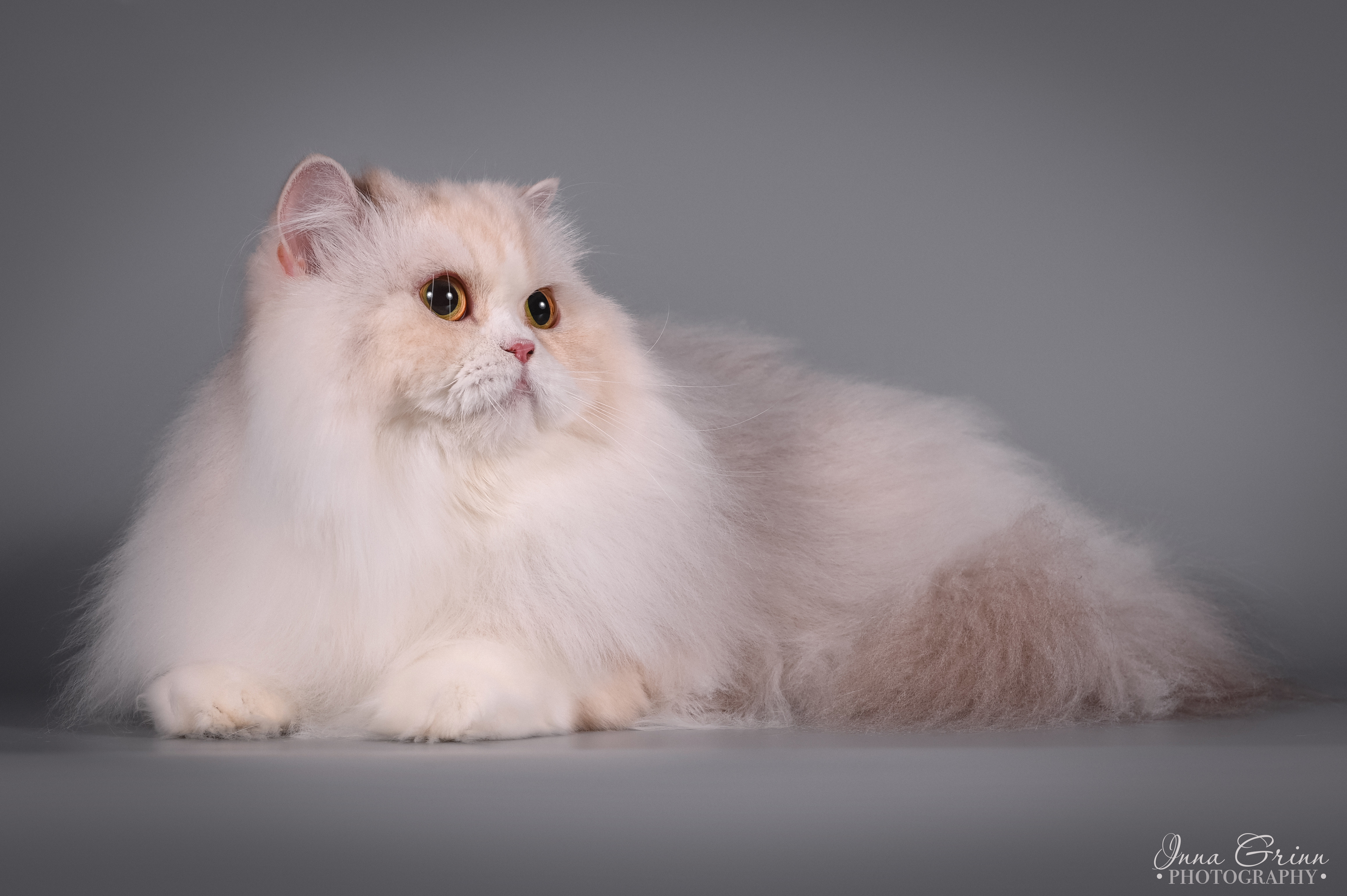 IPR. Uma Turman Laazarev's Luxury