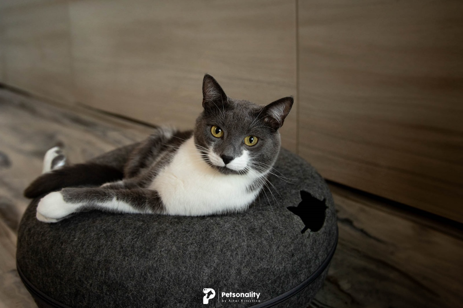 MITZY OF AMNA FLAMES