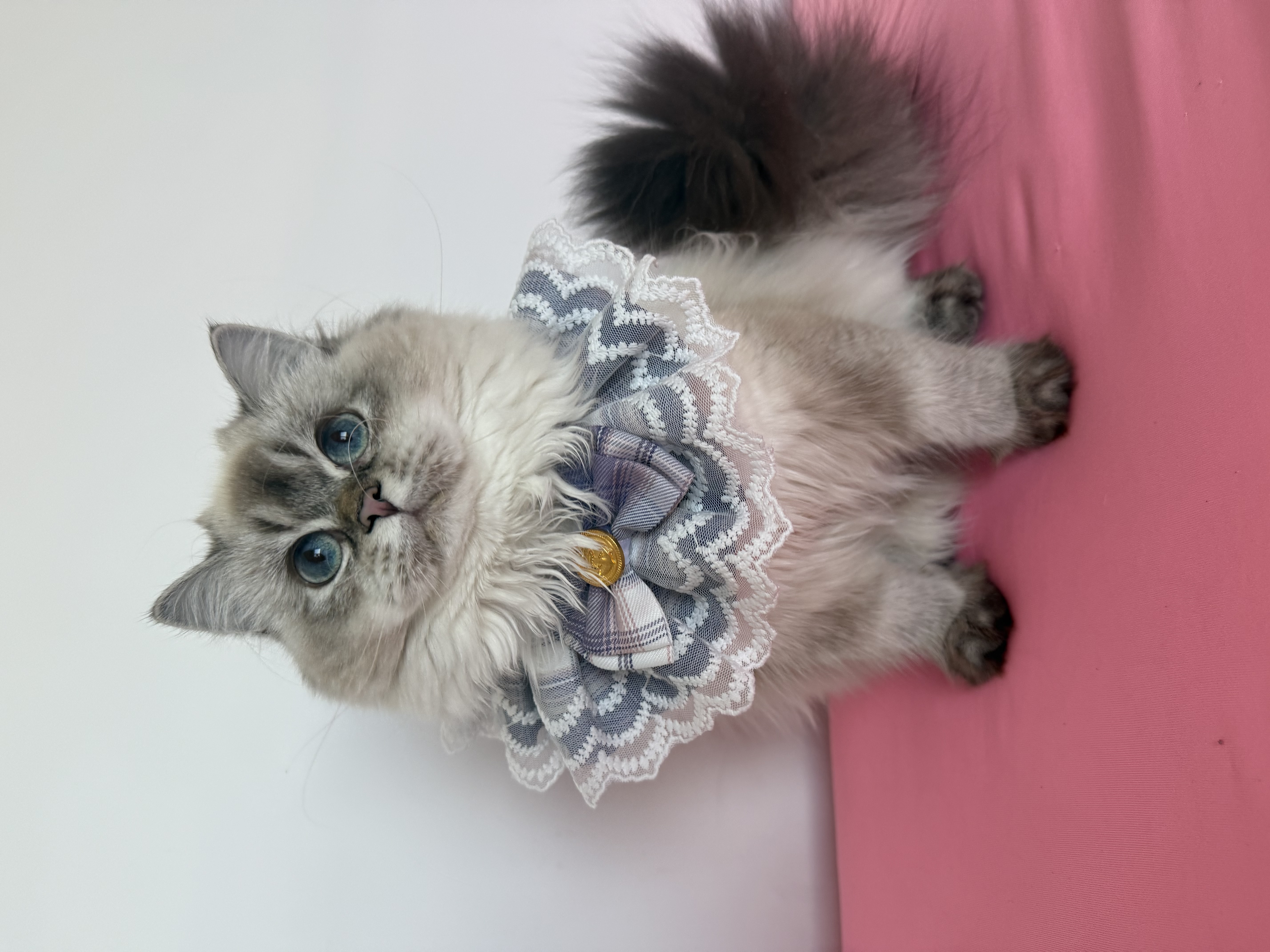 Cailyn Sparkling Emerald