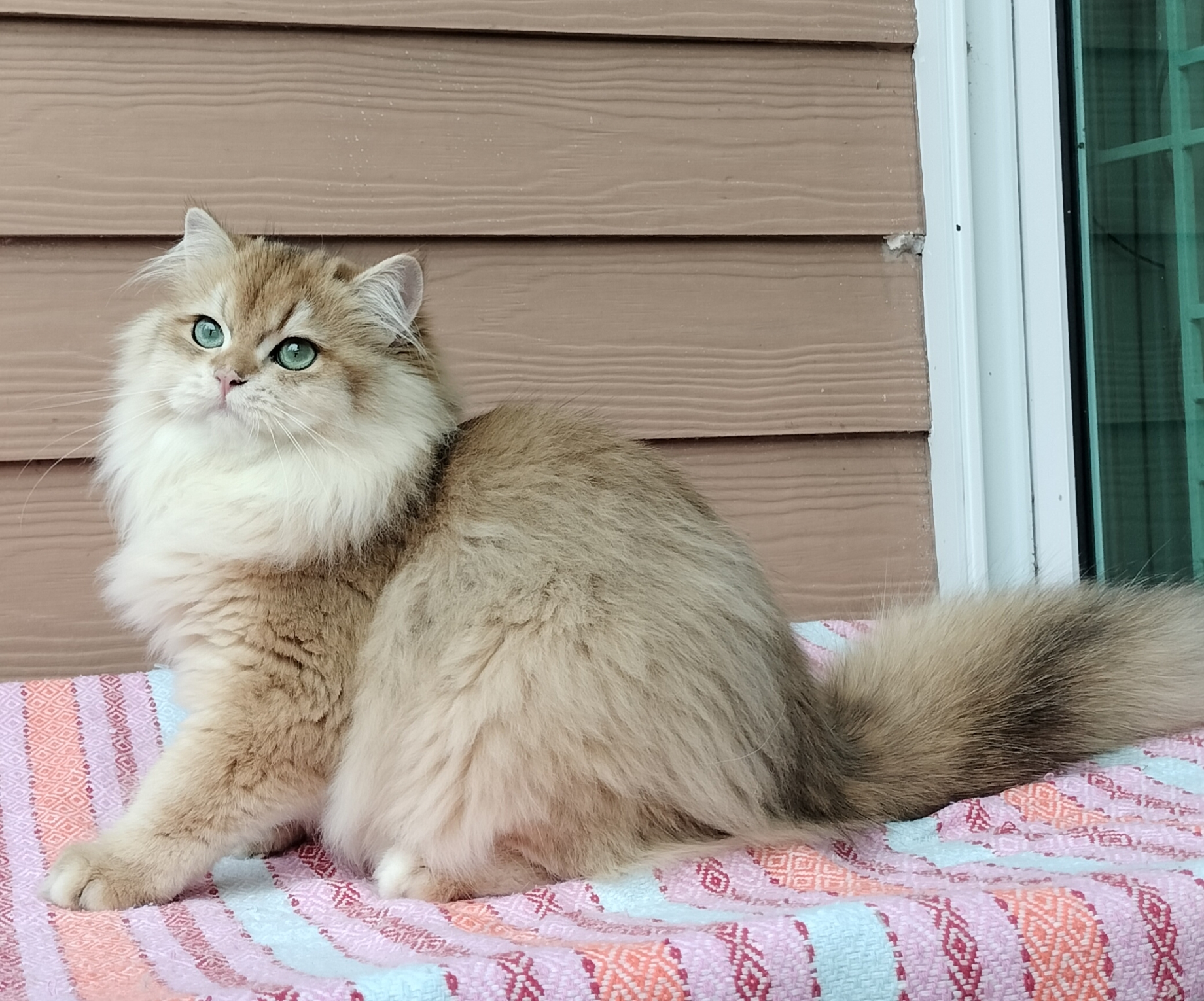 Kritbawornrat's Copper