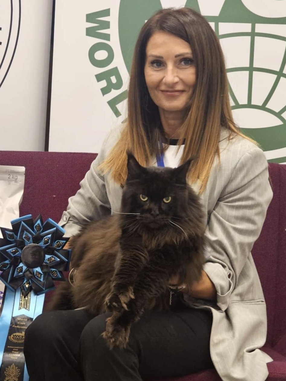 Master HR*Felis Admiranda Z’Oniks