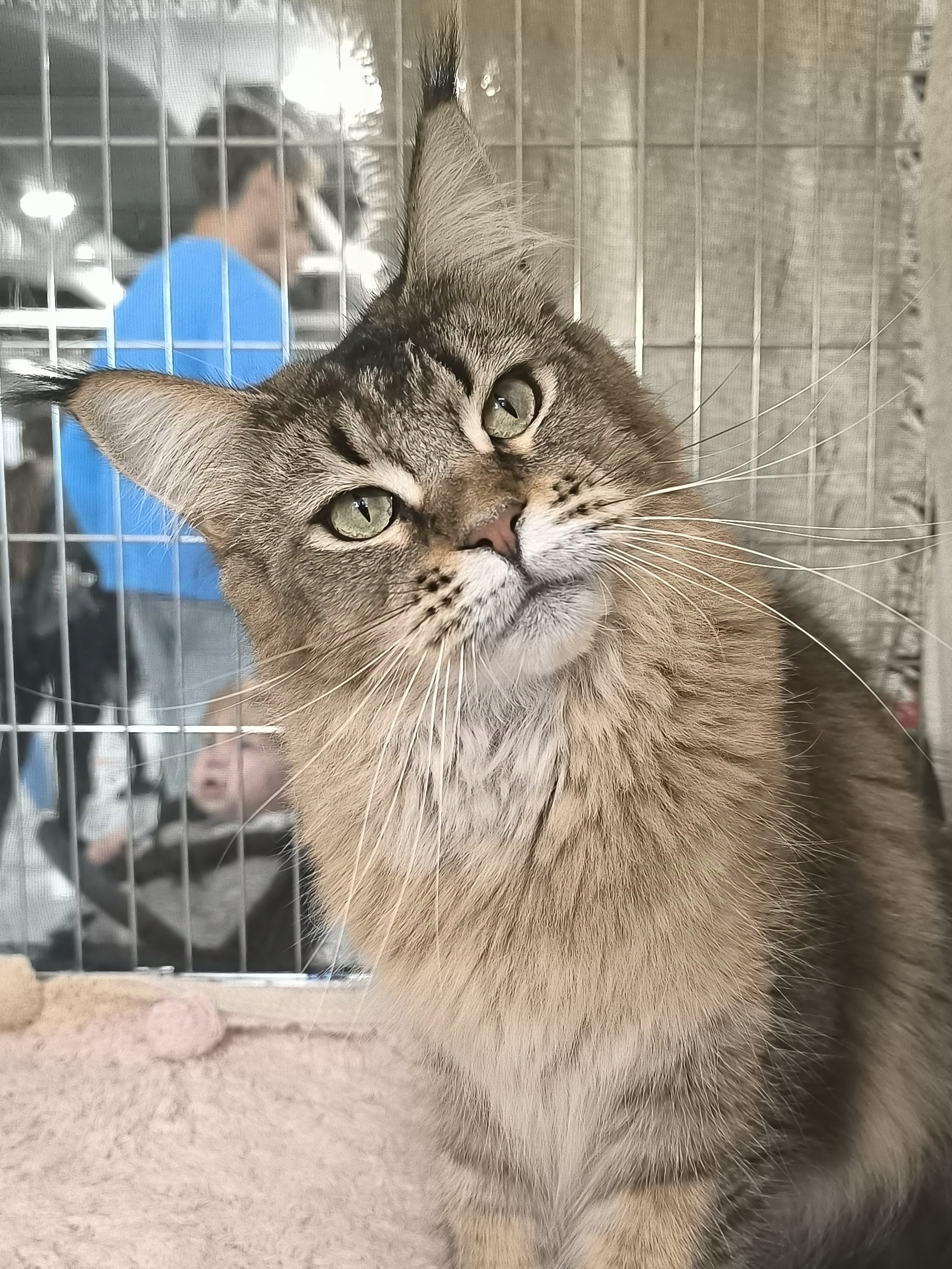 PR. HR* Chinook Wind Camasutra