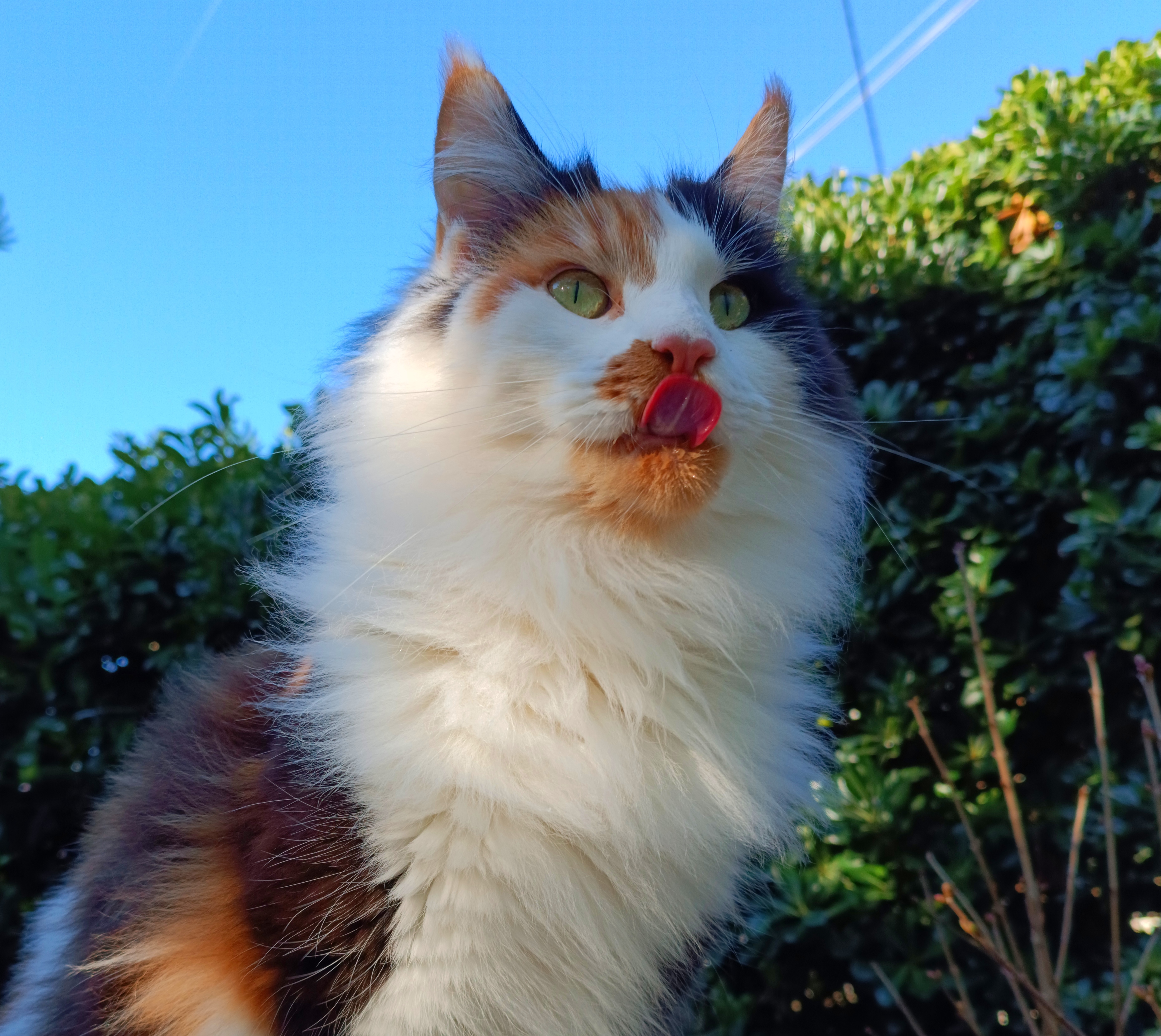 From SyBy Family Daya