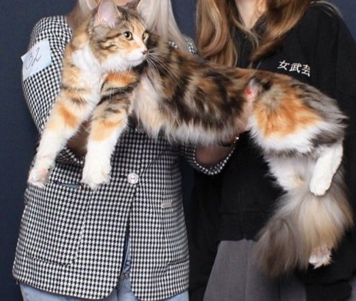 CH. Bodiamlife*UA Ofelia