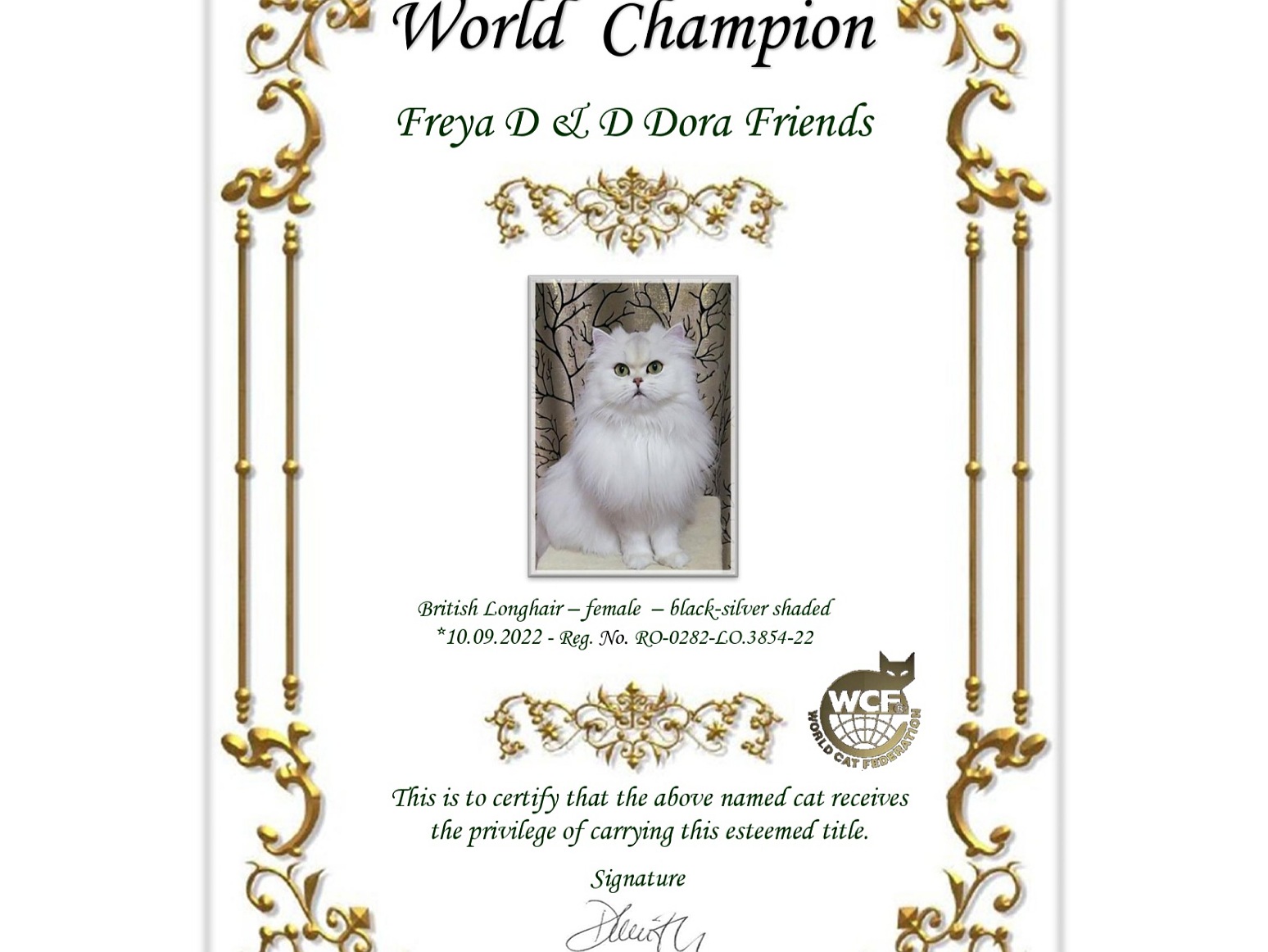 WCH. Freya D&D Dora Friends