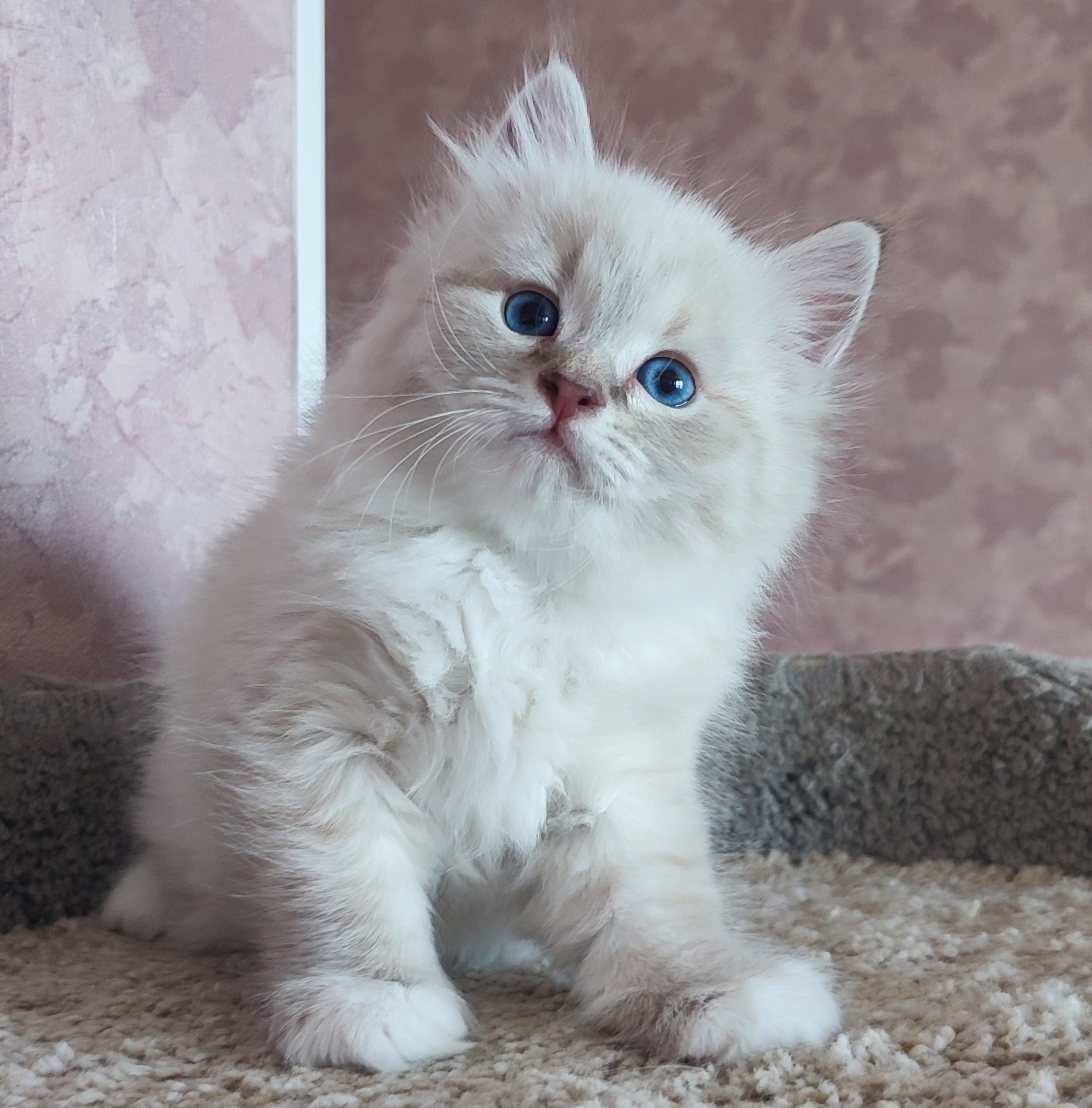 Leviathan NevaEnisey