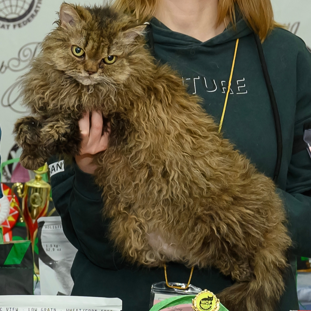 PR. Antuannetta Harley Strong