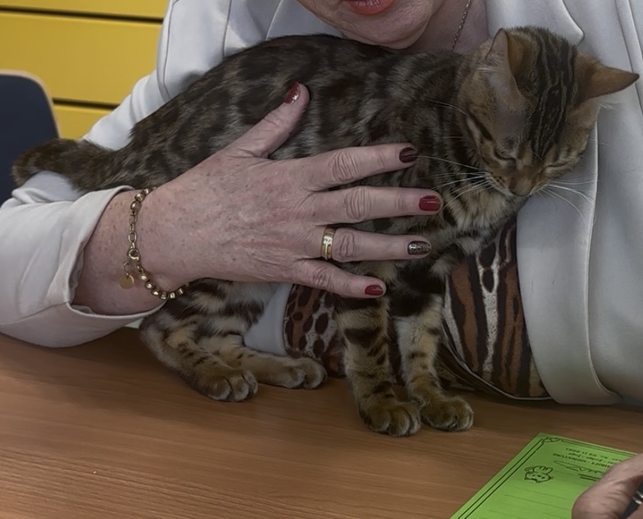 CH. Shiny Chrystal Frida