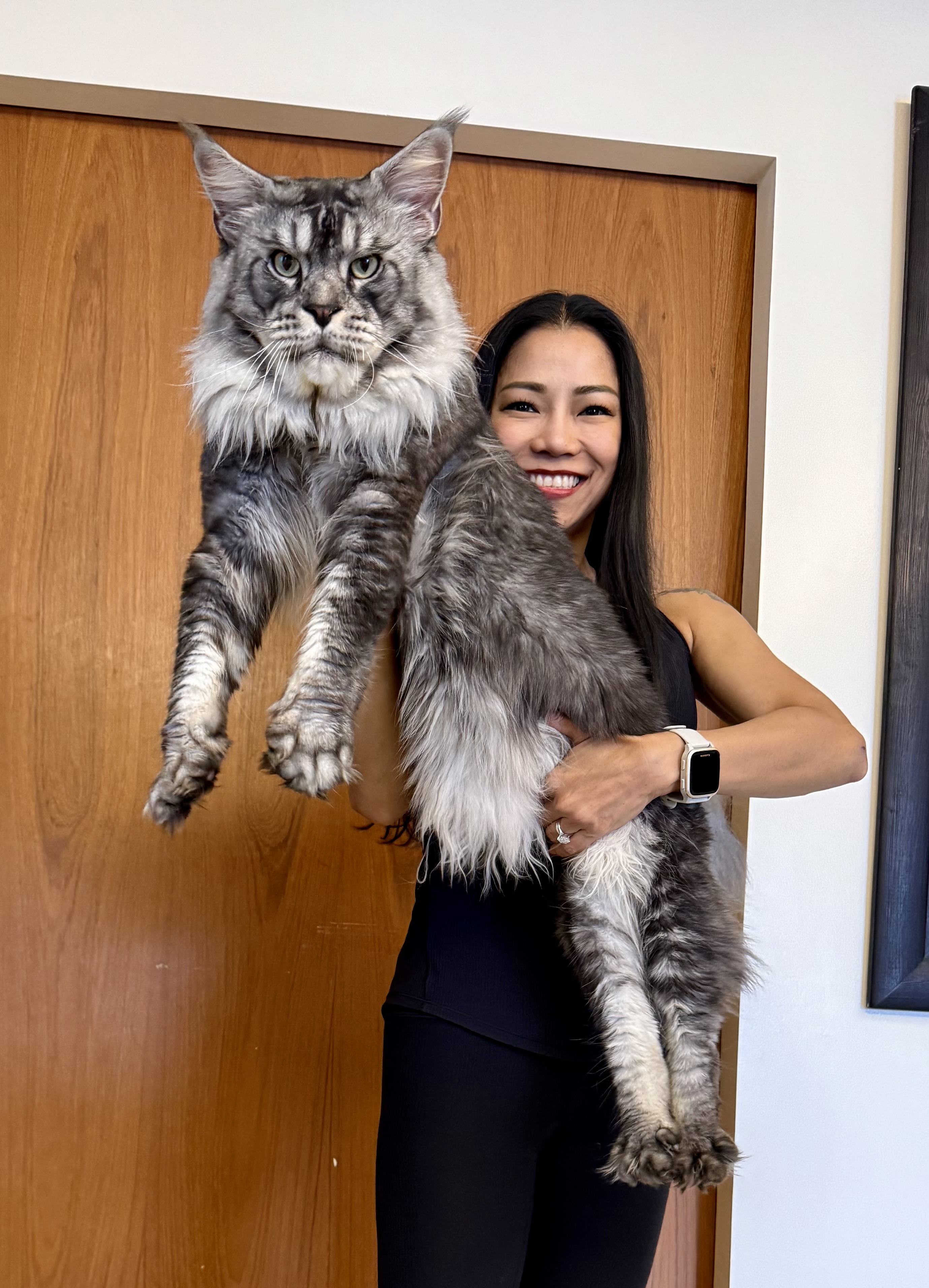 GICH. Woldemar Maryliss Country