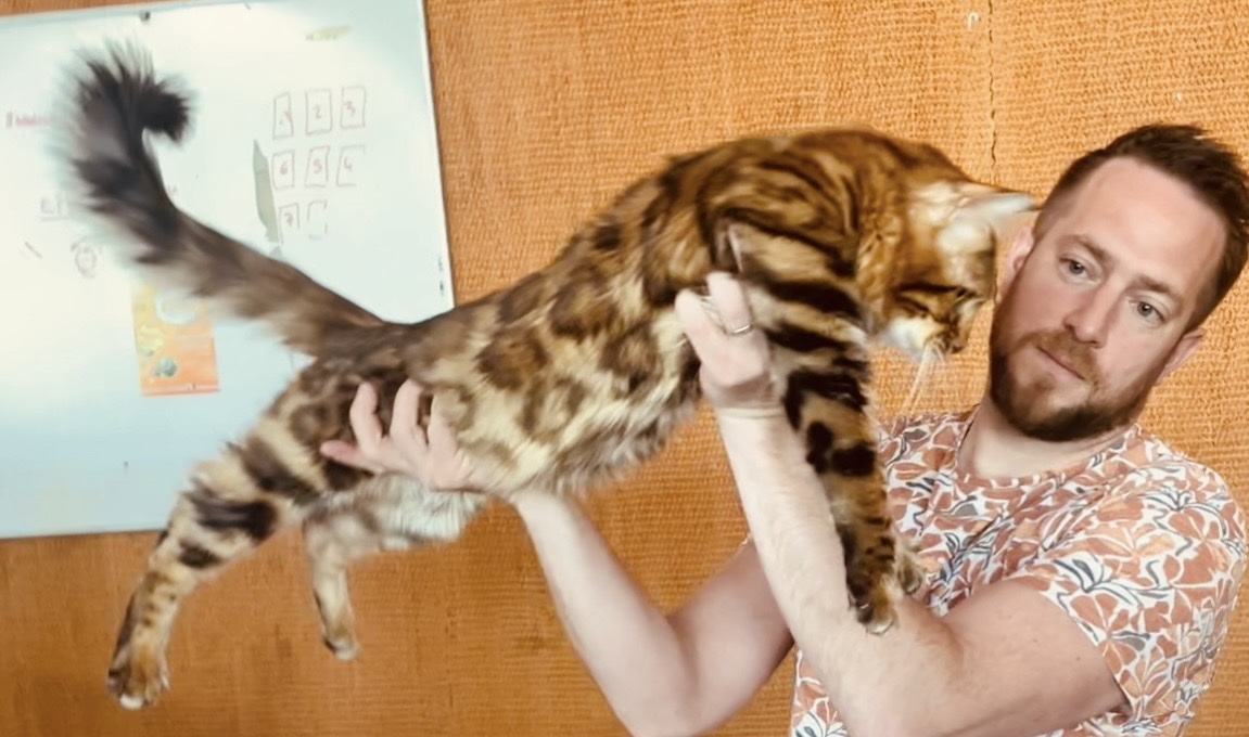 ECH. DreamWay Harley