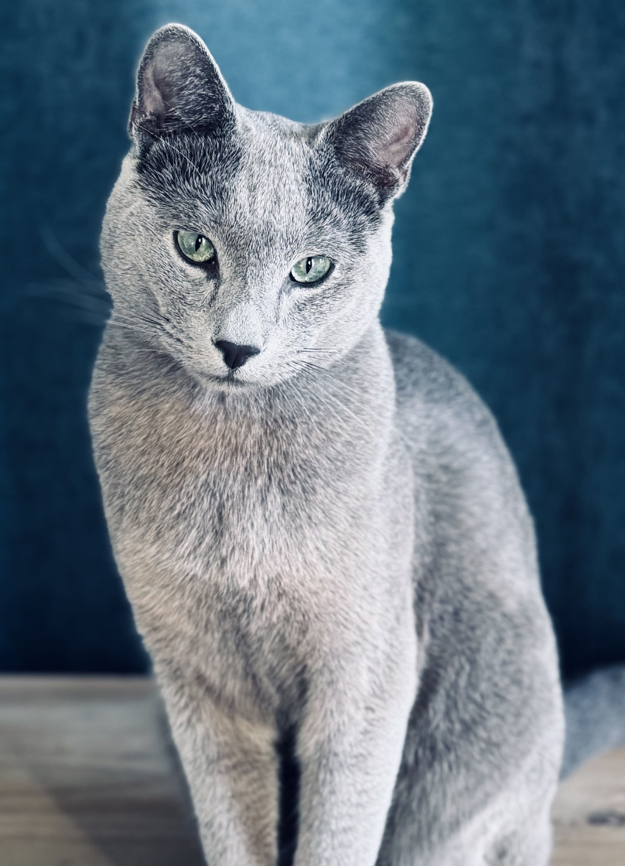 ICH. Nord UvEo Grey Silk