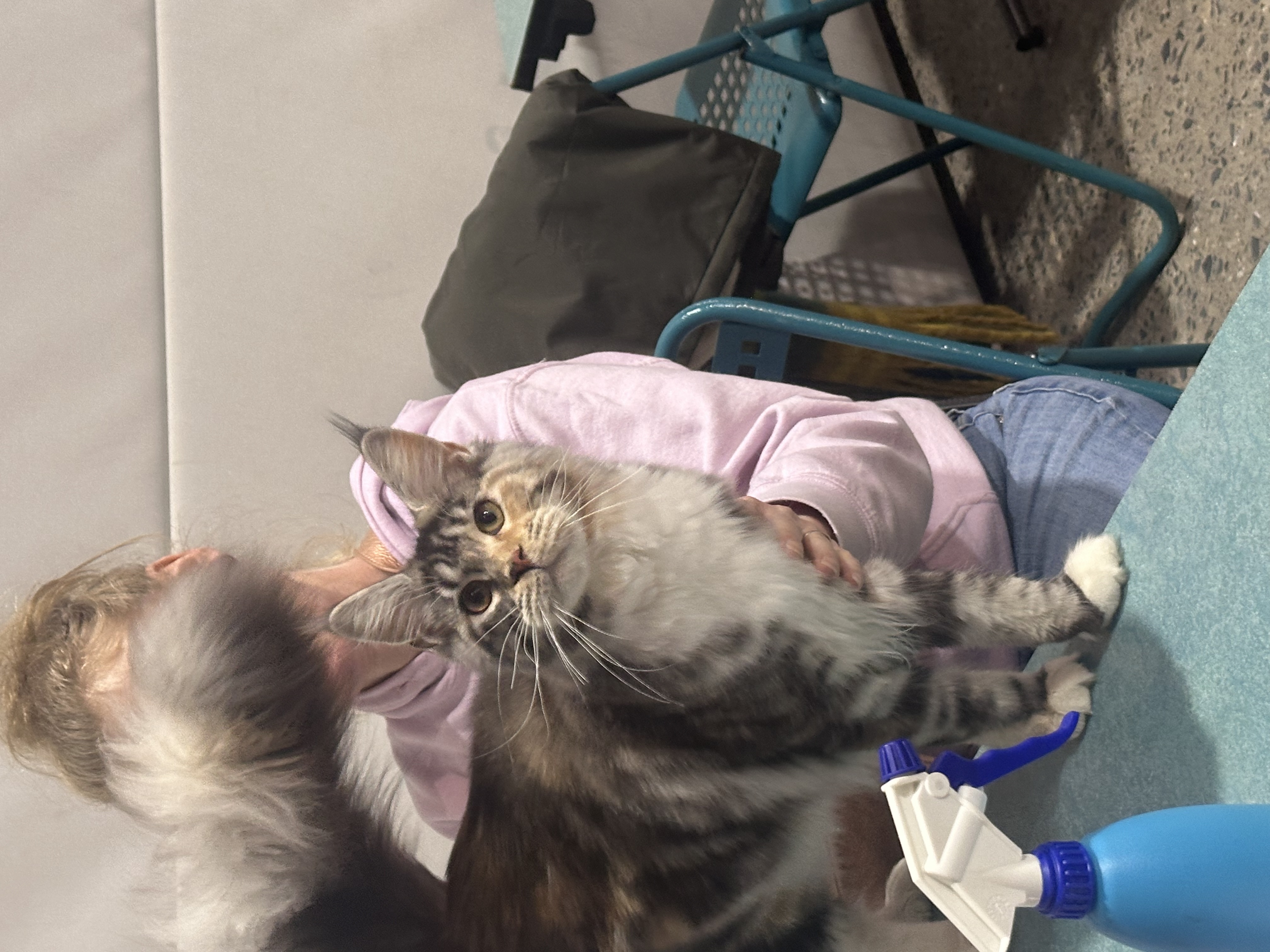 ZAYA DU ROYAUME DE LIA