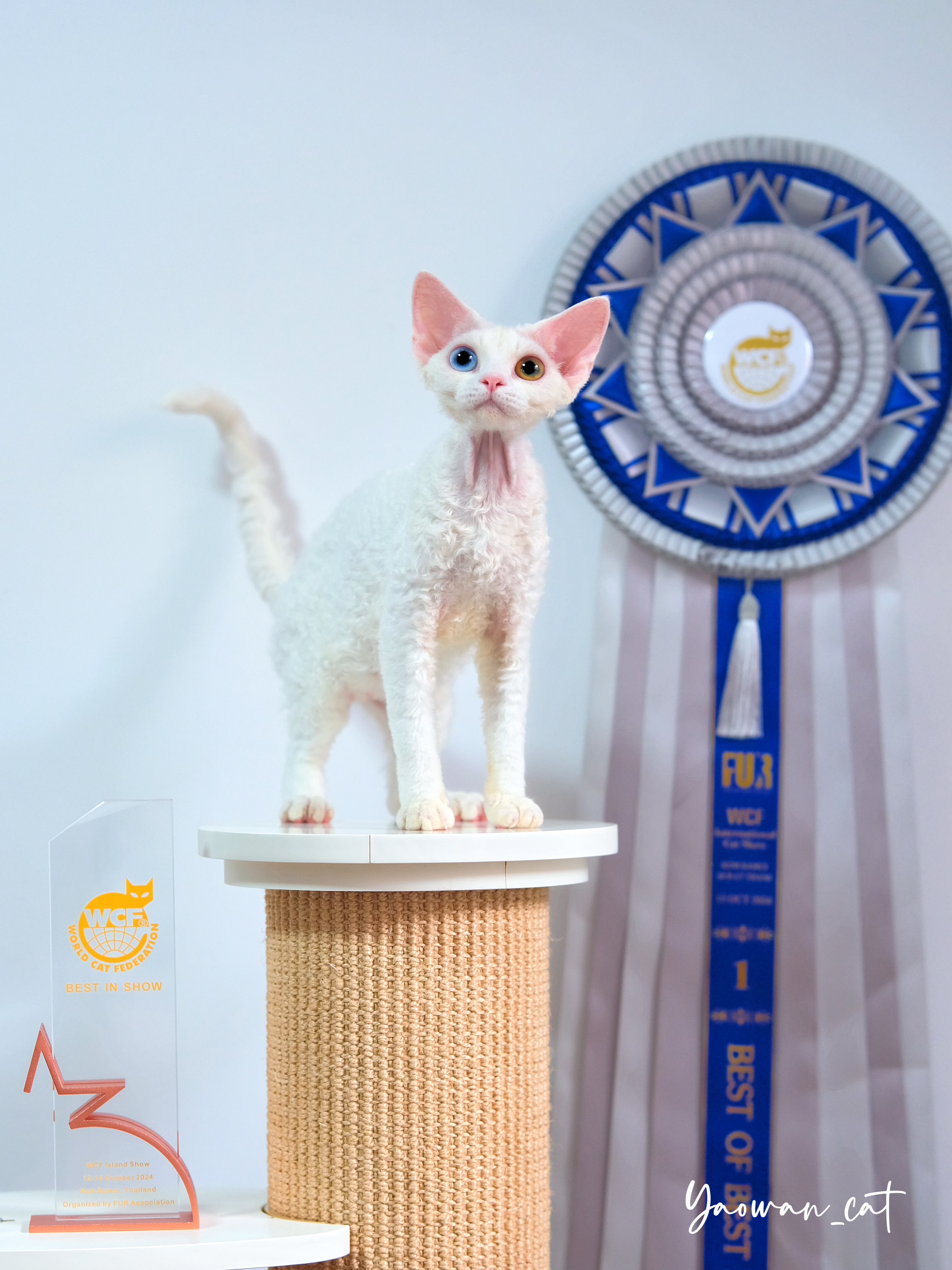 Yaowan Athena