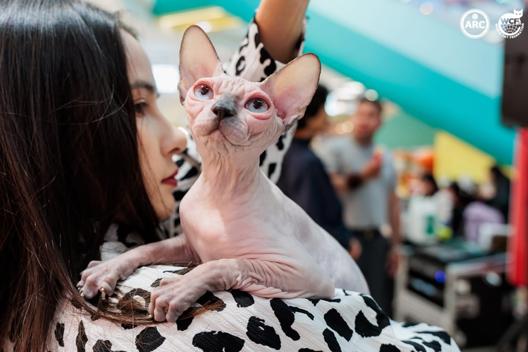 Fighting of Charisma Flora