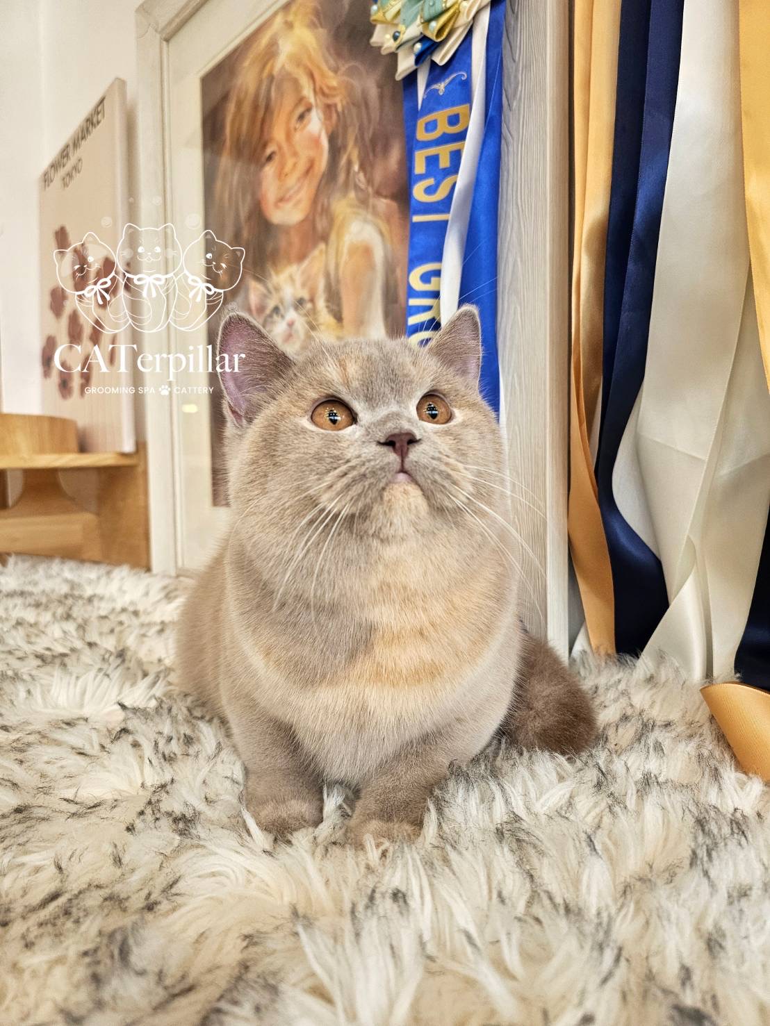 Princess Garnet's Gk Melda