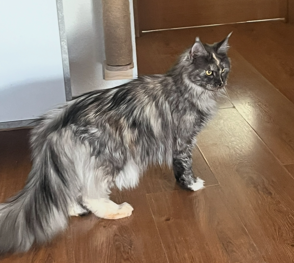 Regalo único*Ru Olivia