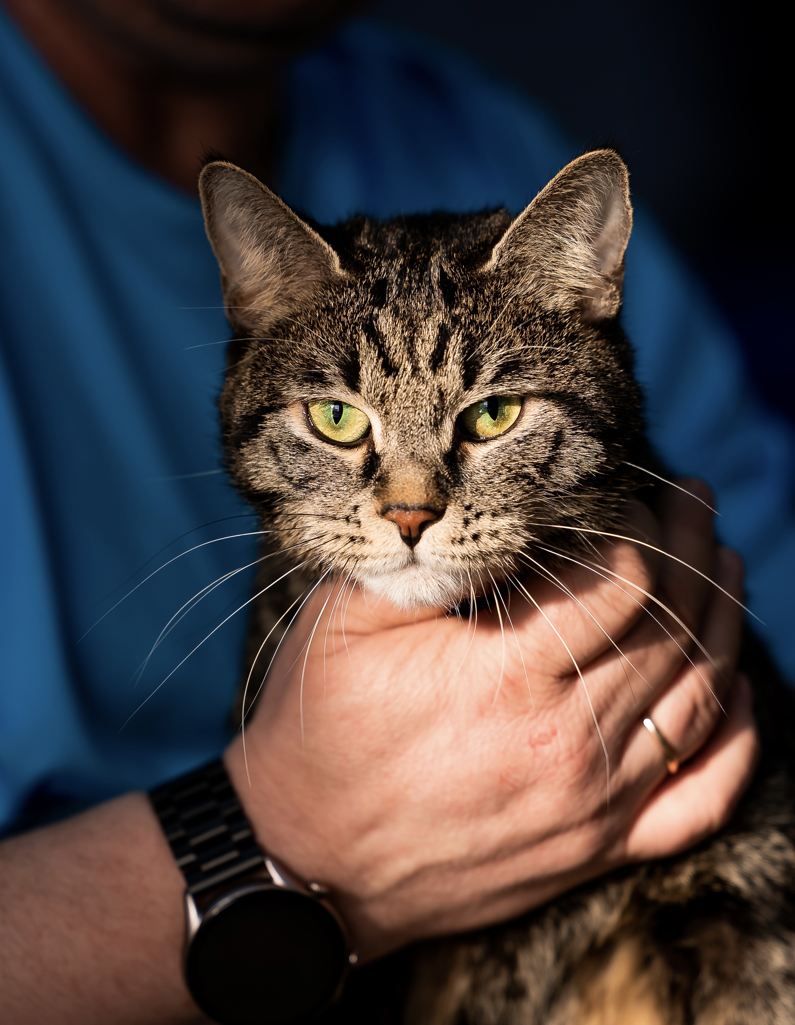 GICH. BW1(24) Kupalinka CEl Simargl