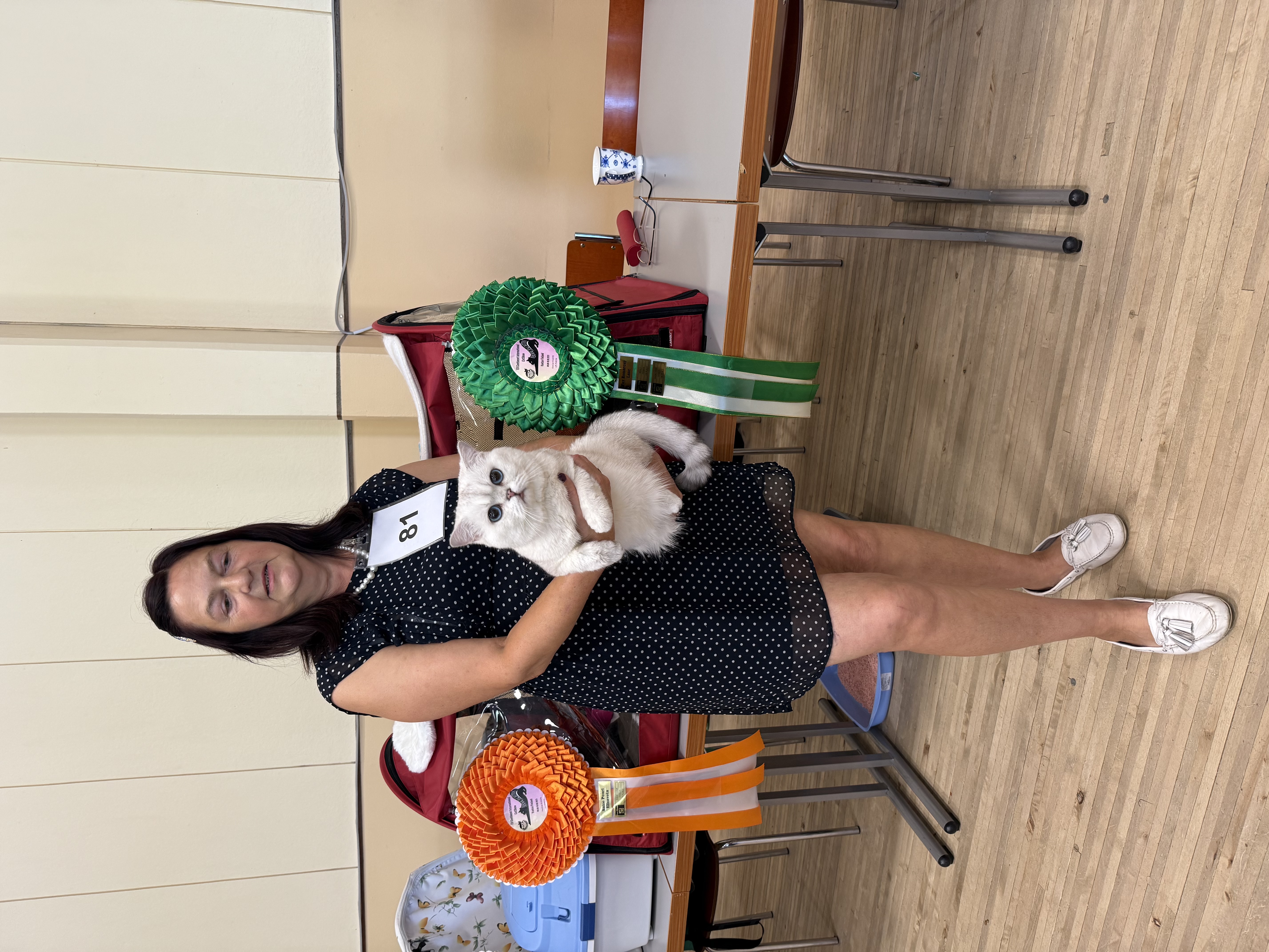 GICH. Fox Romarcey Lanc