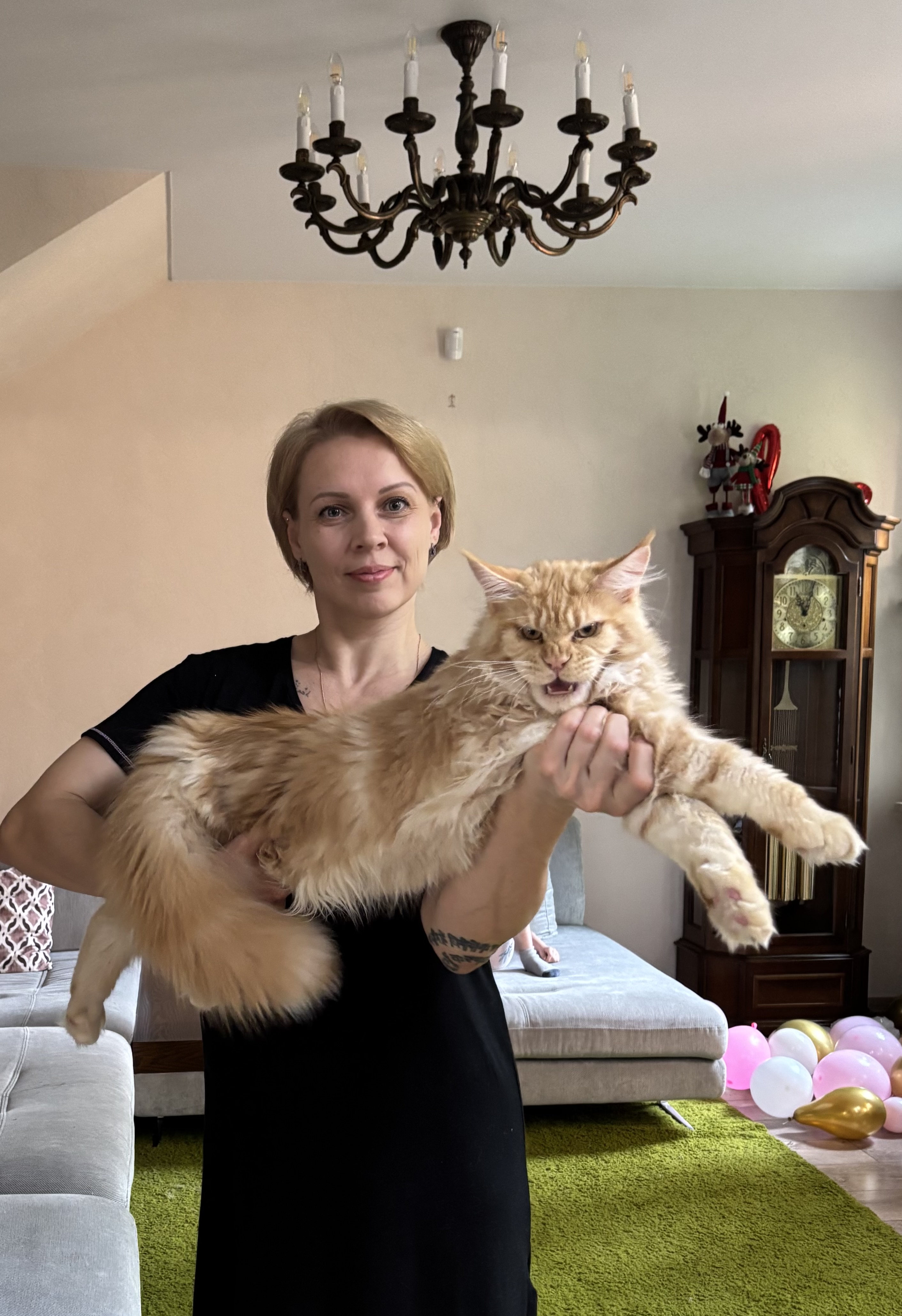 JCH. Zarinoscattery Caspian Ugentero