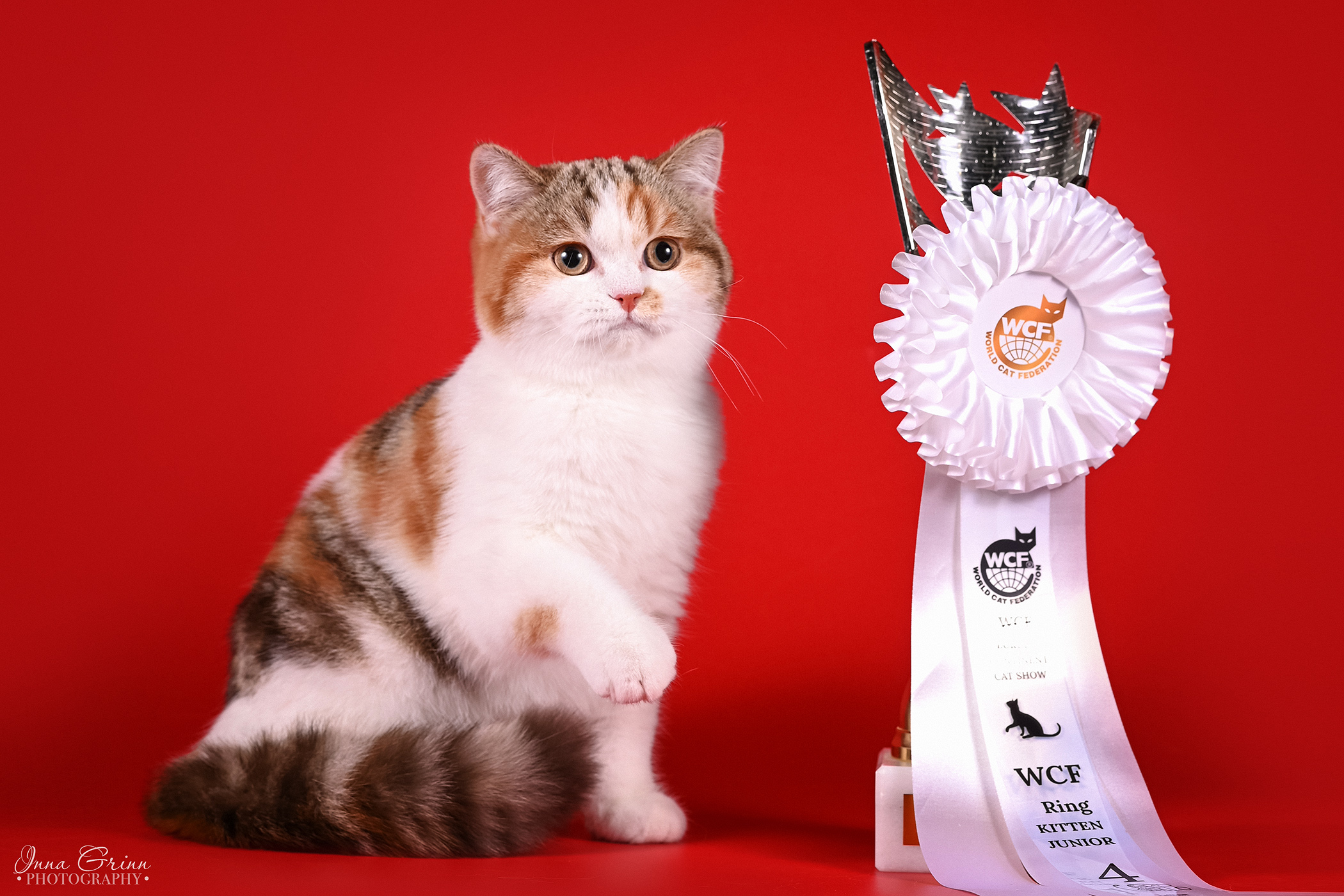 GIPR. Roxy Laazarev's Luxury