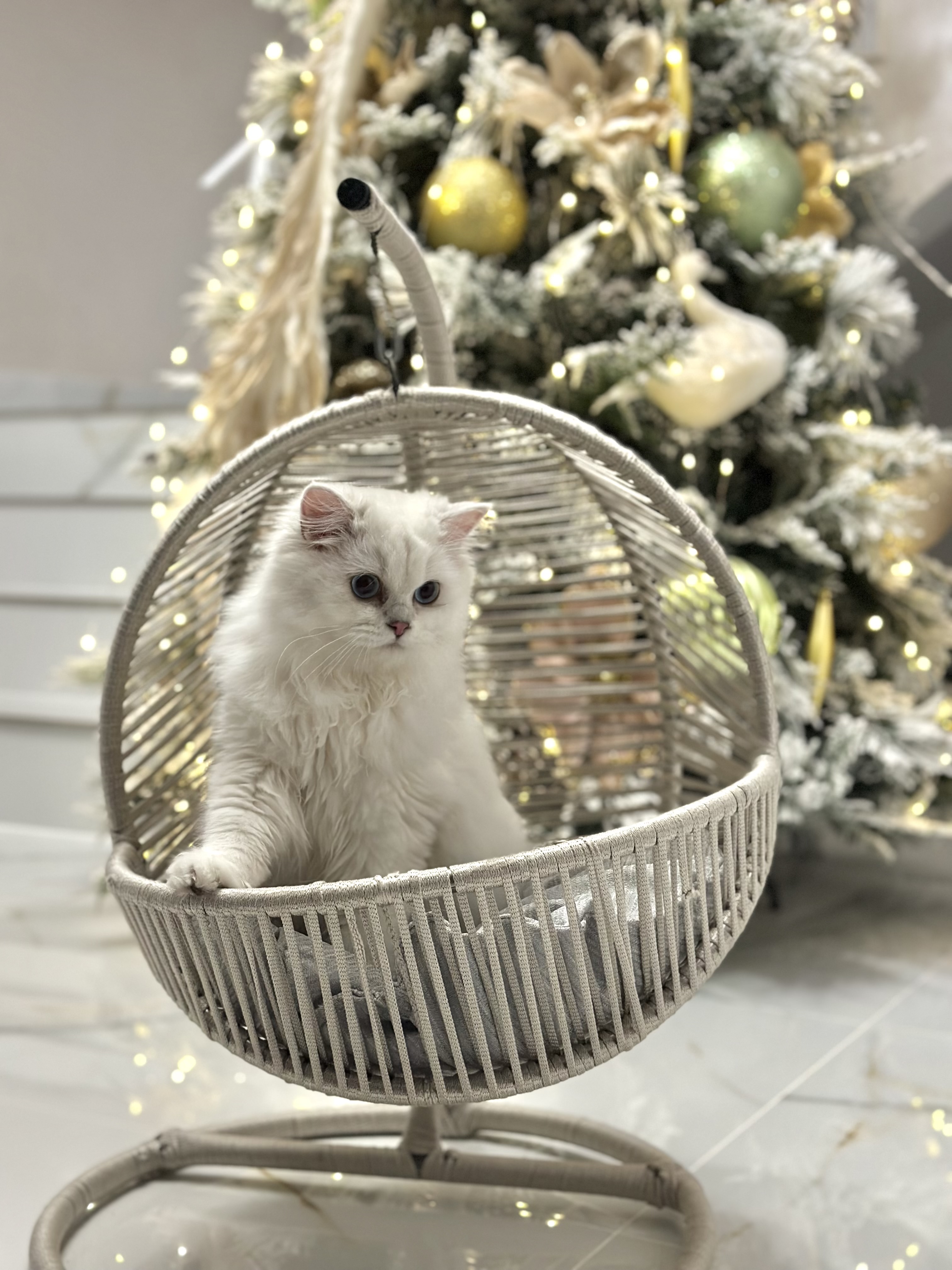 Beauty Golden Amulet