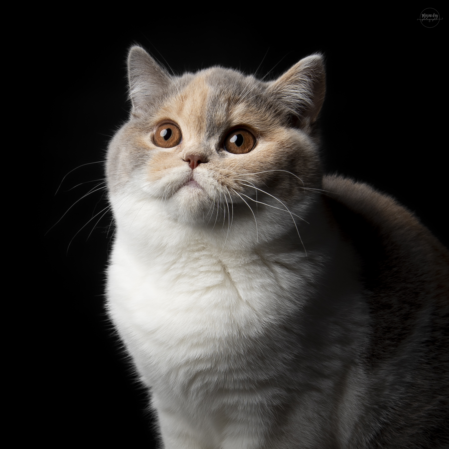 So beautiful Lipstick