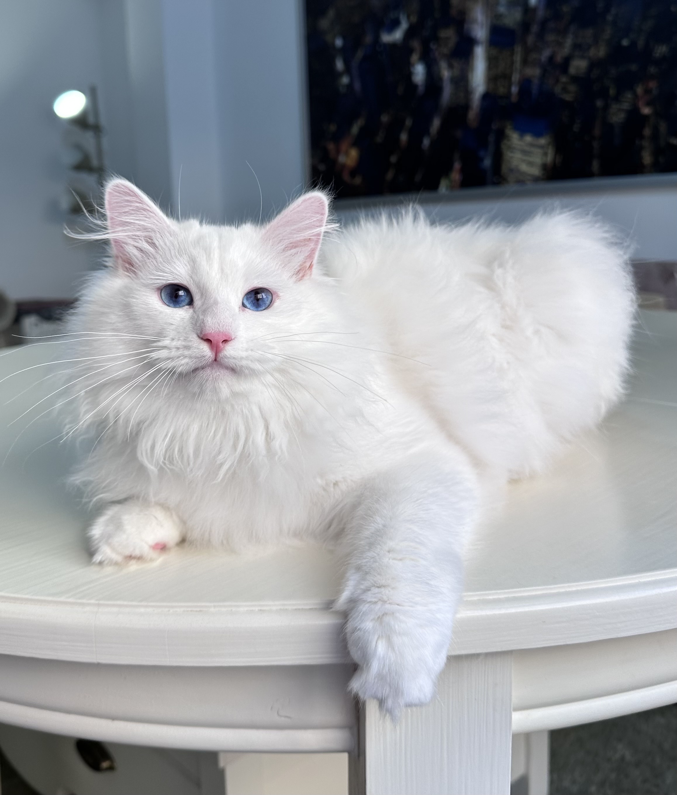 Neptun BaLaVi de Siberia