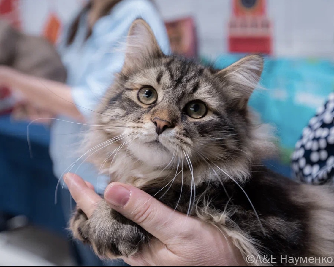 Quartz Sibirskiy Izumrud