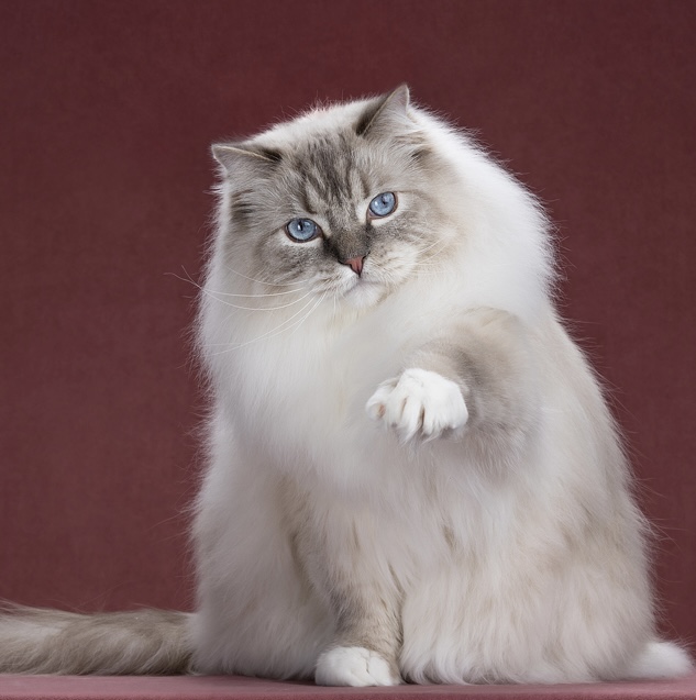 WPR. BW'24 Watson Valley Tuberose