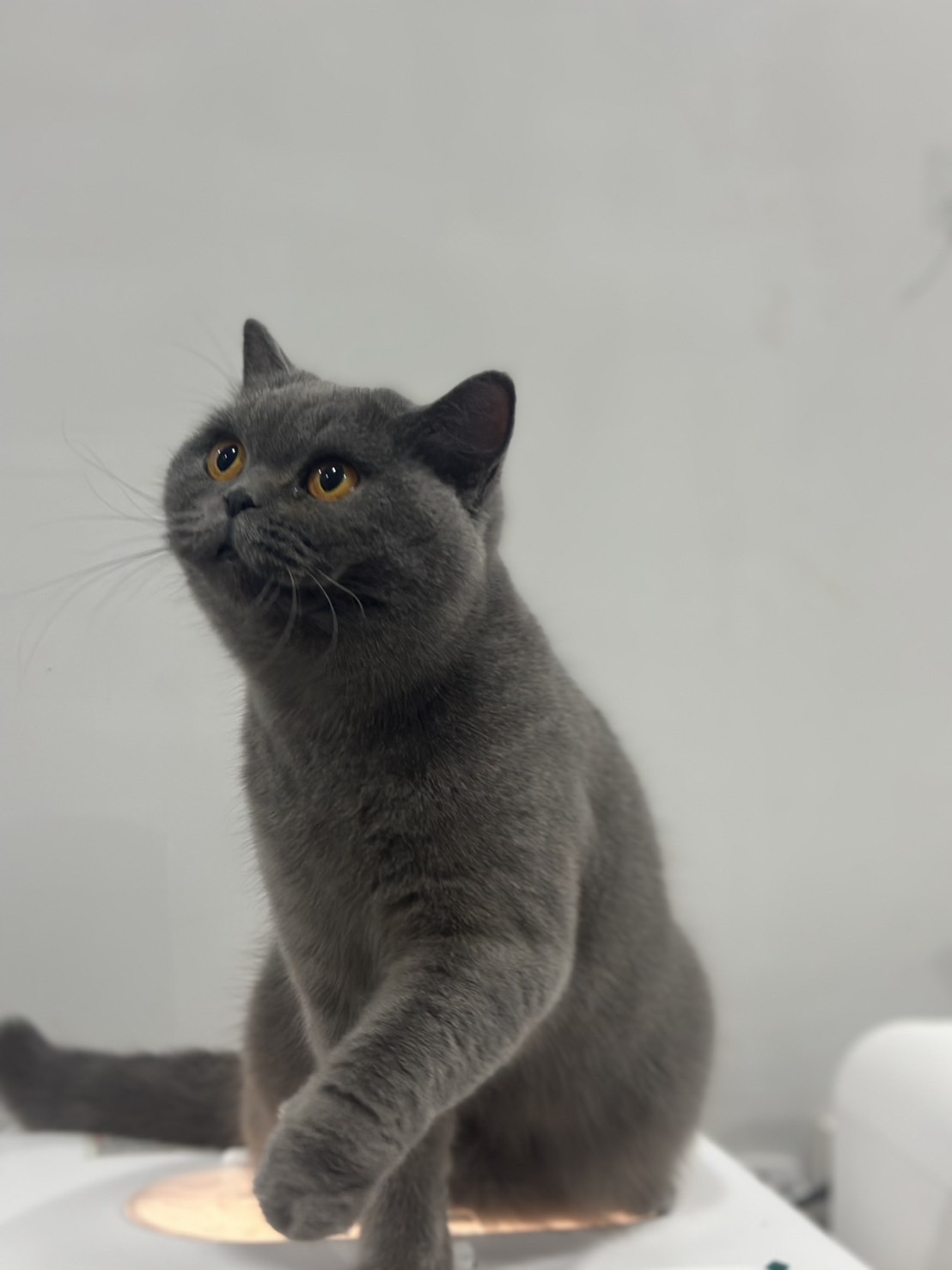 Ban Blulin’s Use Crystal