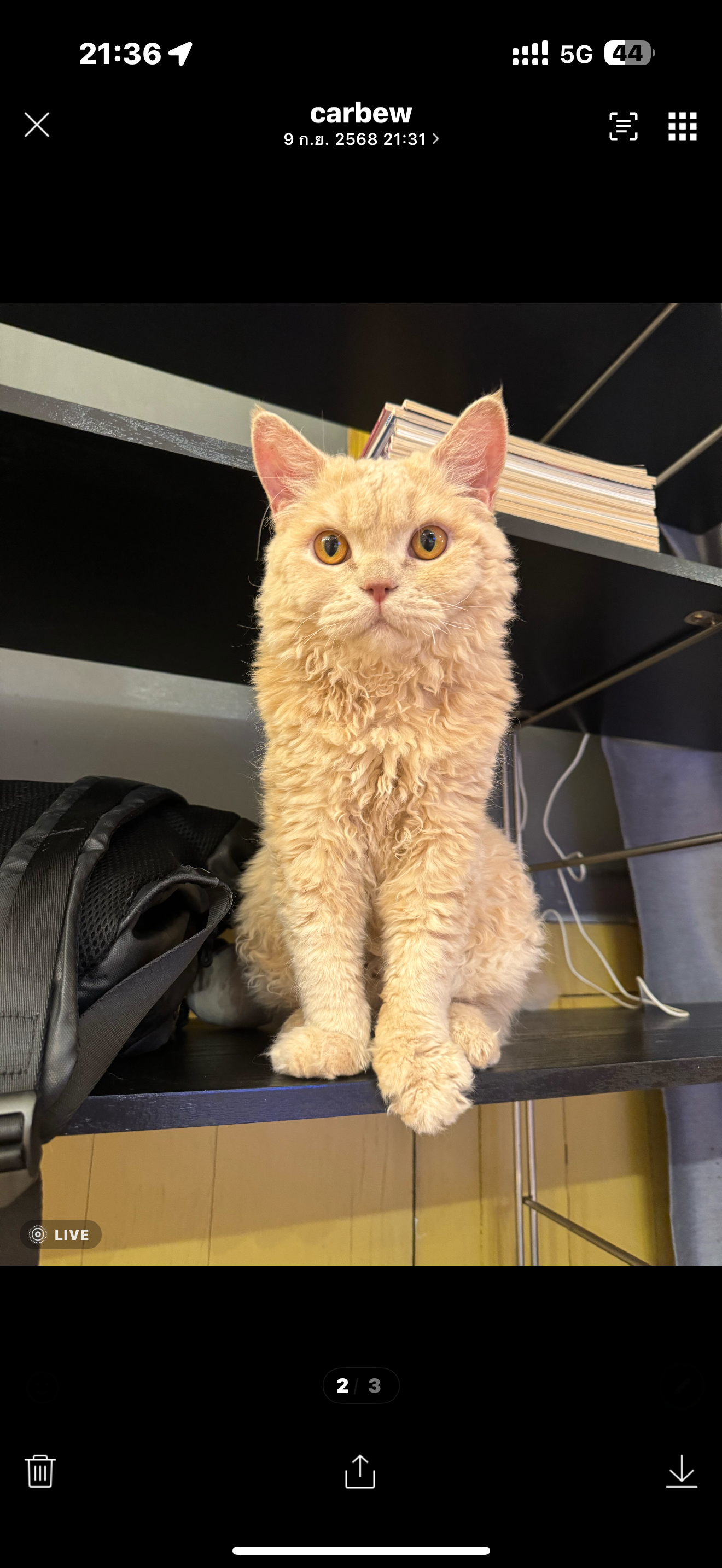 MonsterMonster Soocial