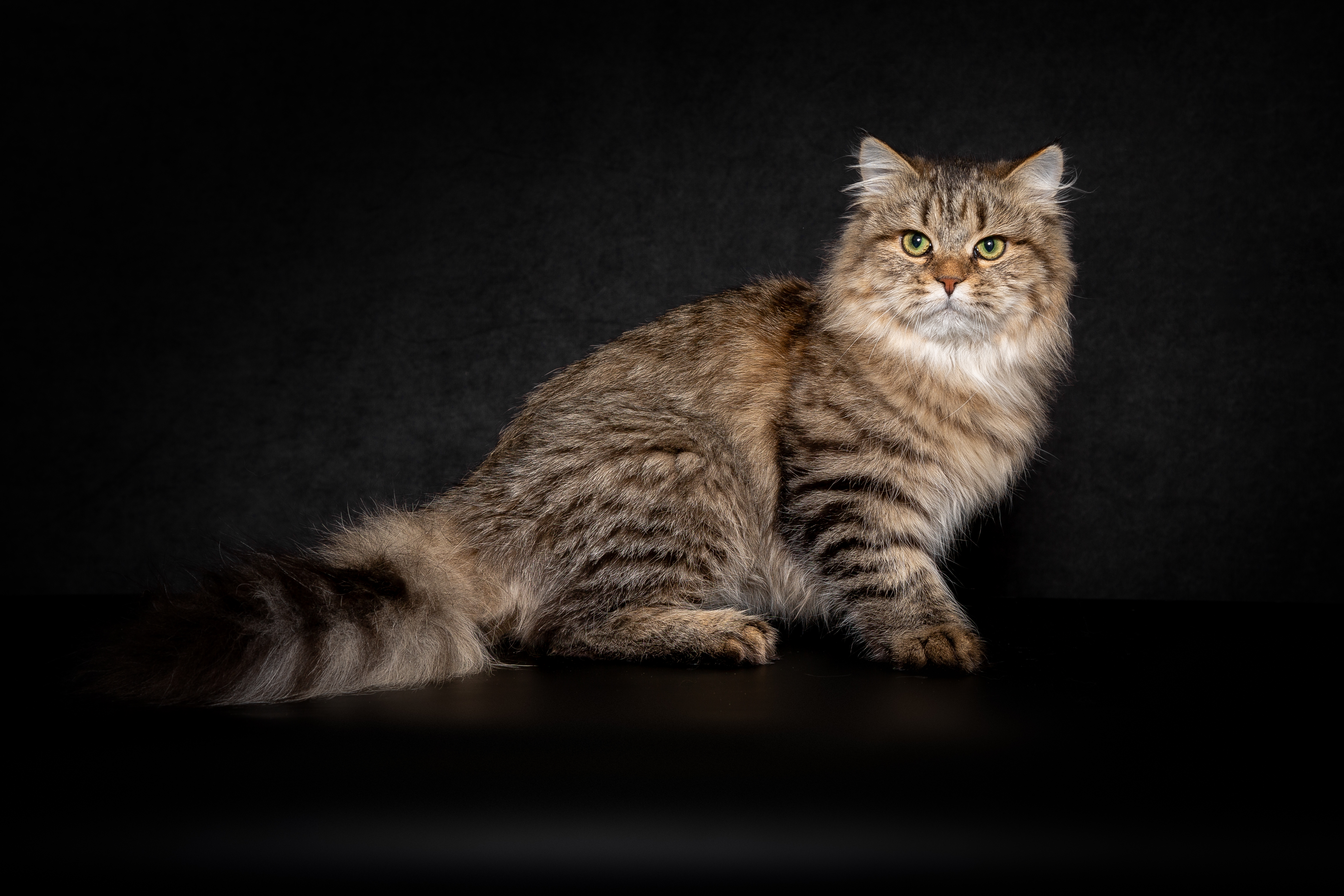 Katusha SIBAY Arkaim*RU