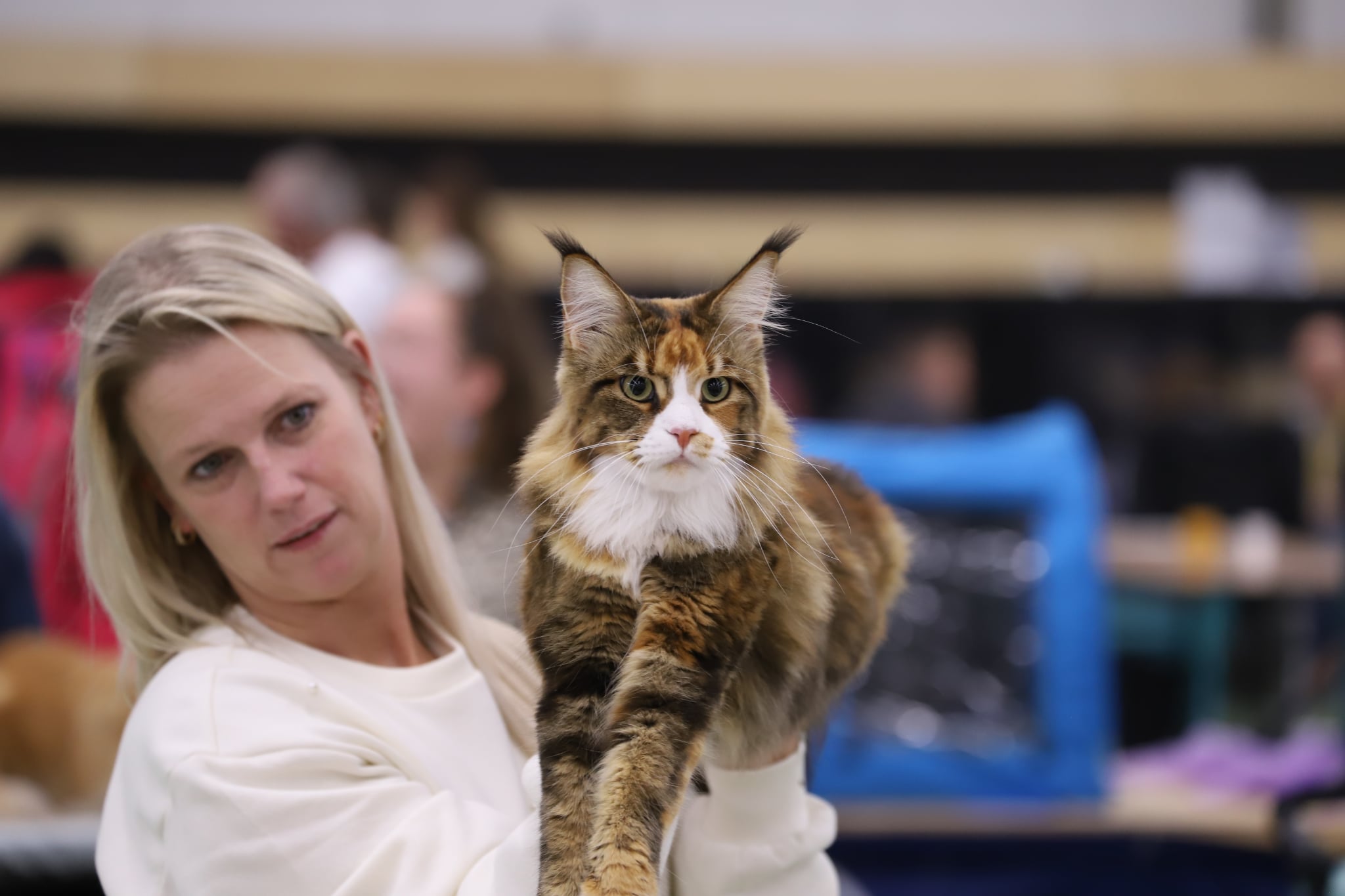 ICH. Usha Bellamoondo*PL