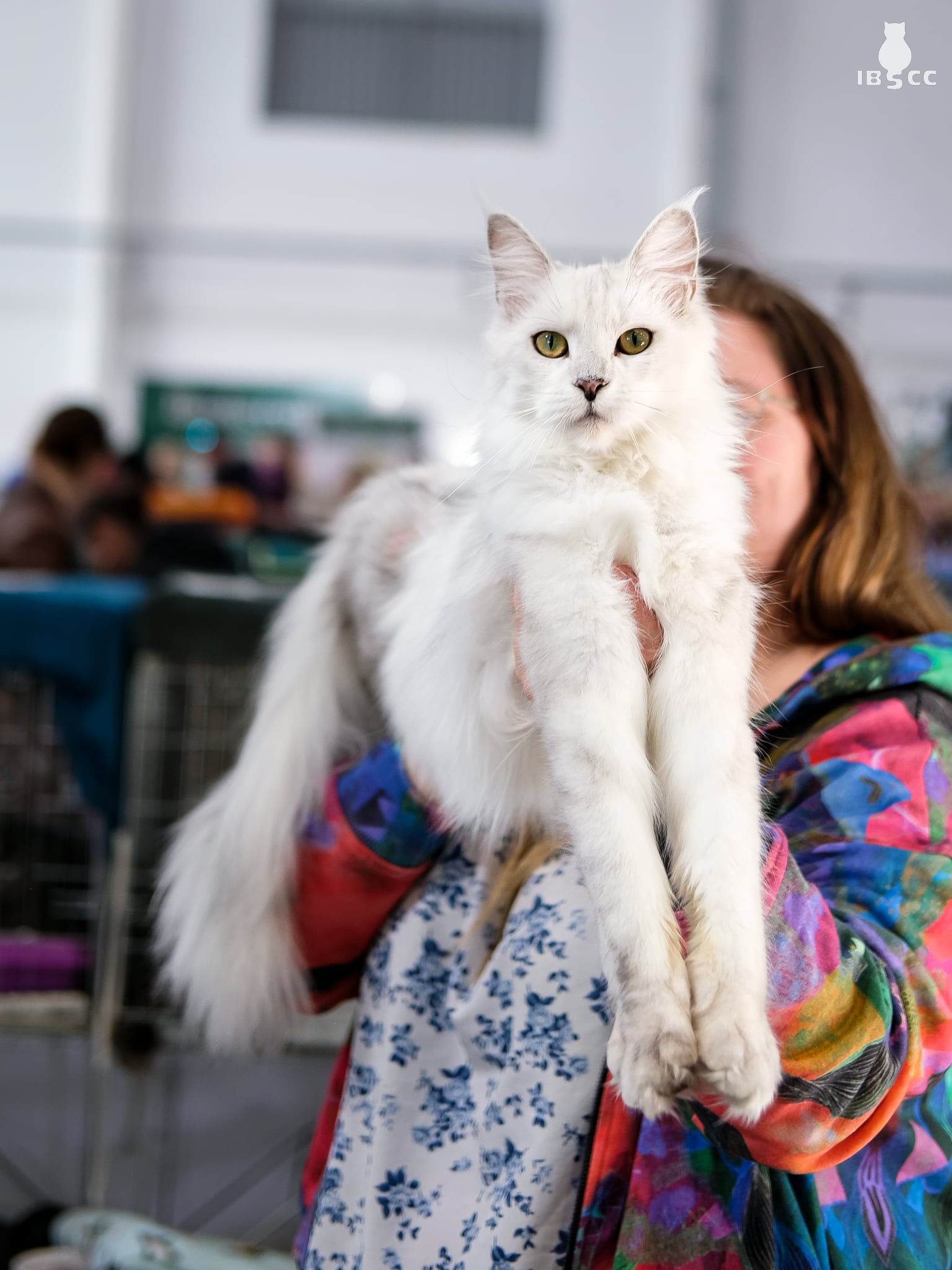 Moonrisecoon Venus of Pandorateam*PL