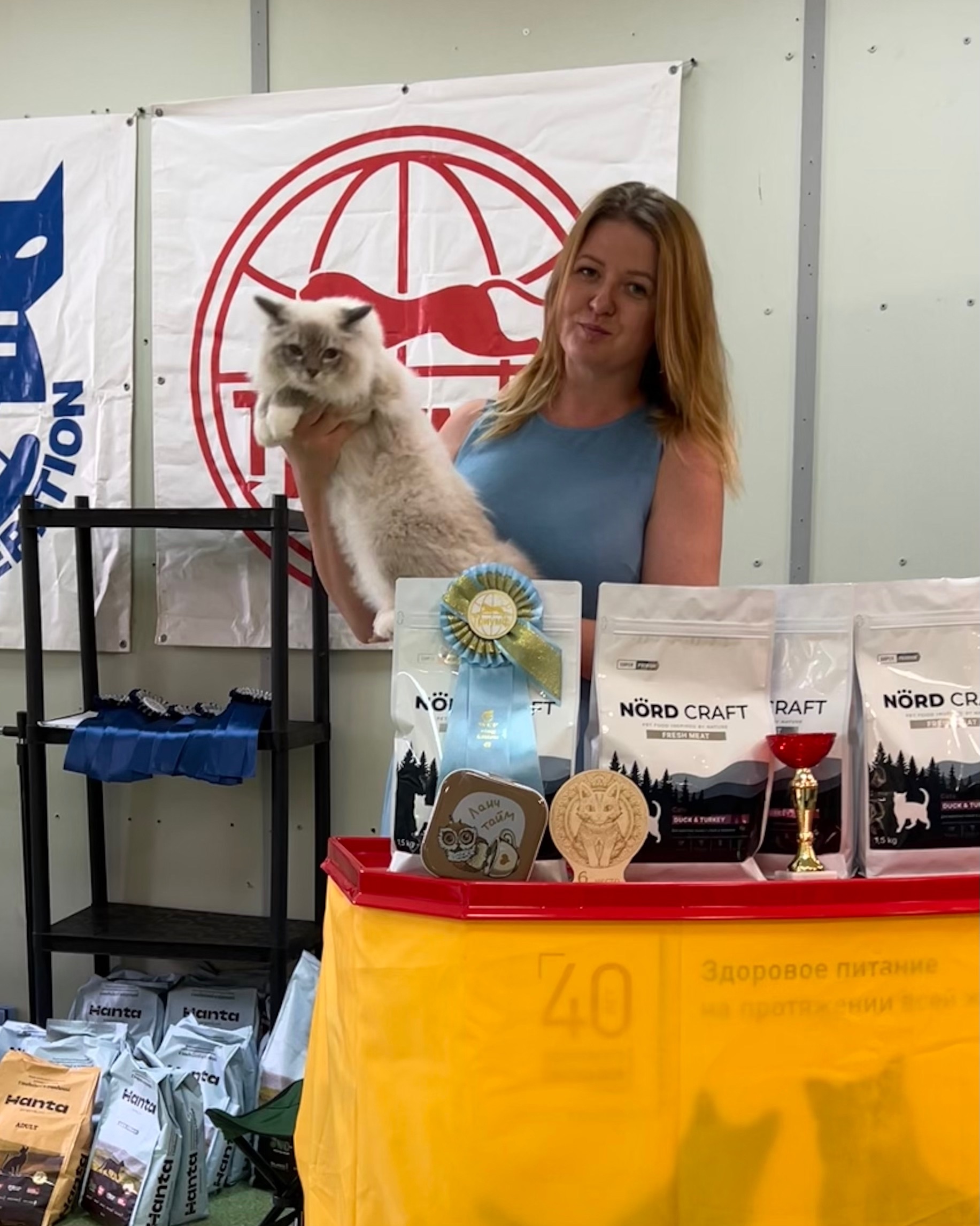 Indigo Prince FelinoTherapy