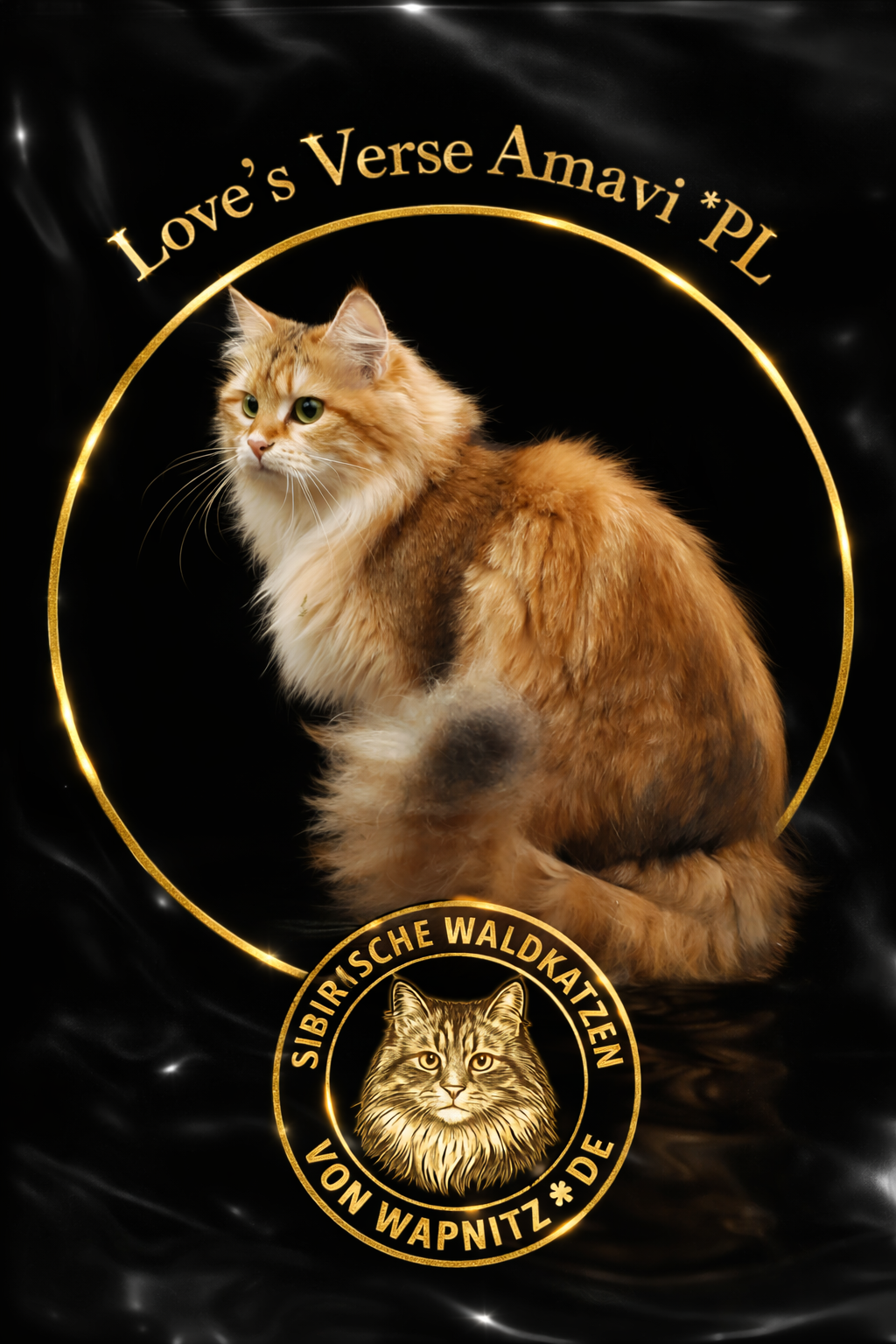 ICH. Love`s Verse Amavi*PL