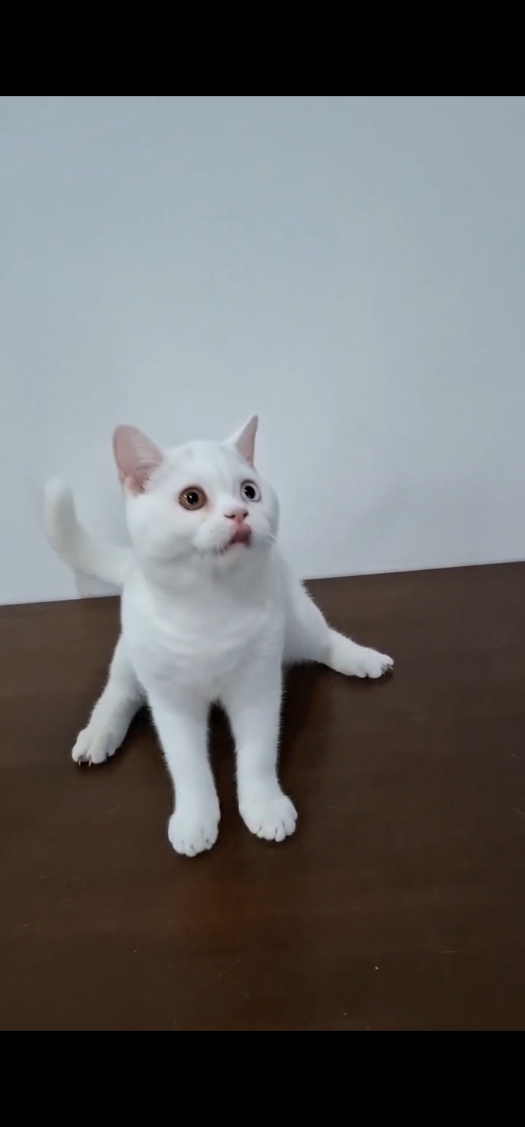 KCH. Batuta Wiro Jalu