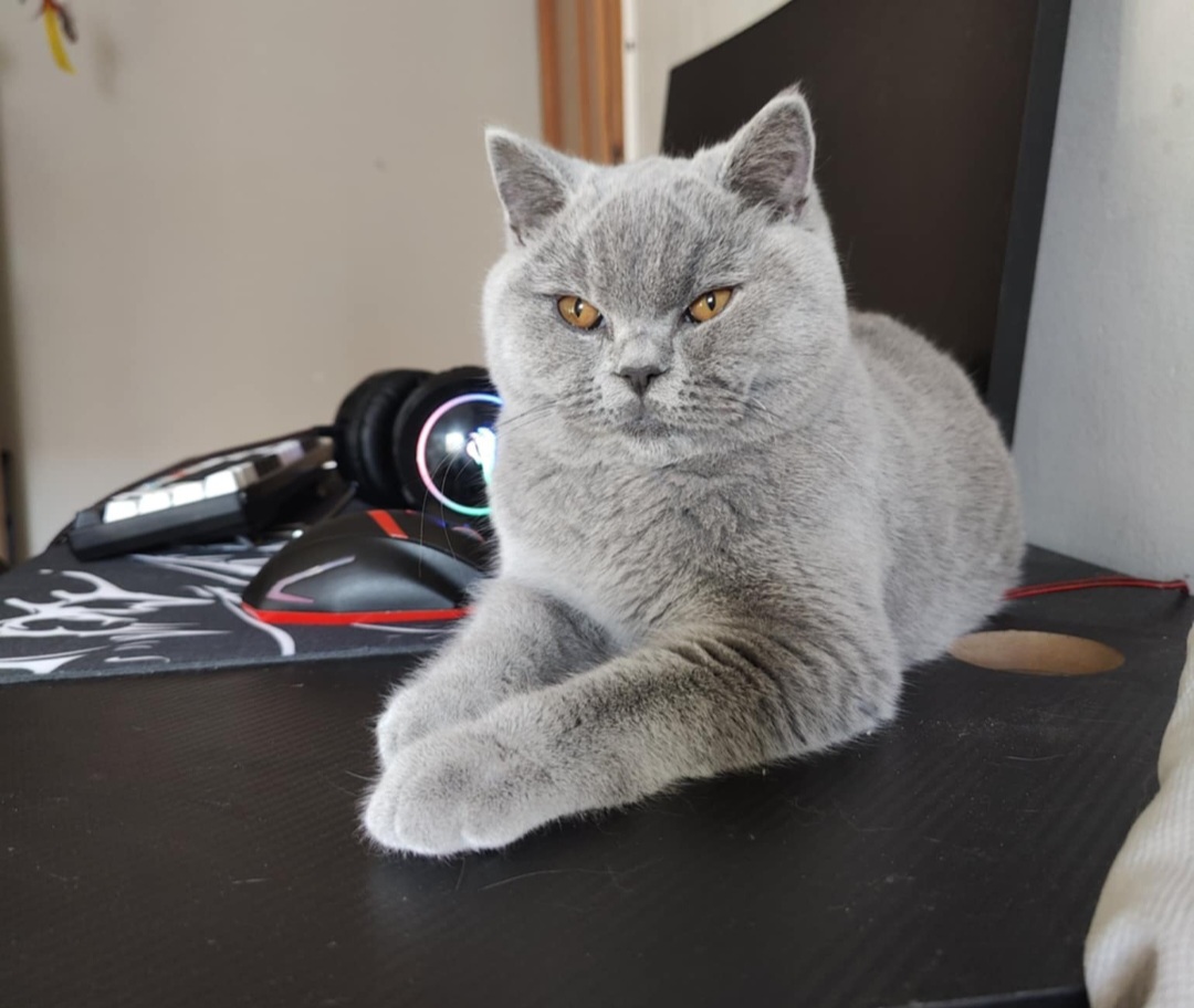 Pixel Fantasy Avalon