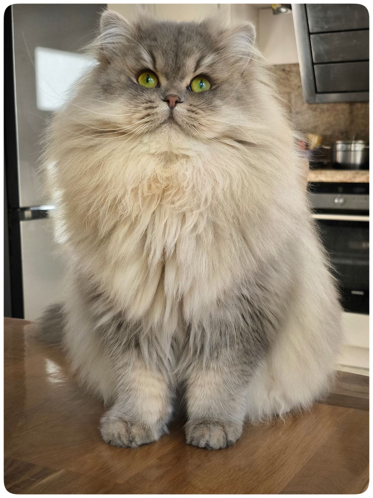 GECH. Magie de Lame Monpassier