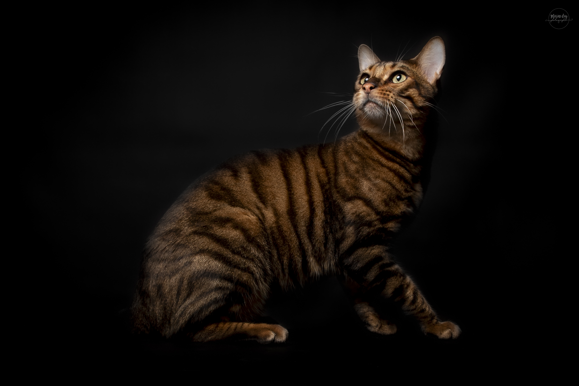 GECH. Uno dit URIEL DE LA HILLANE