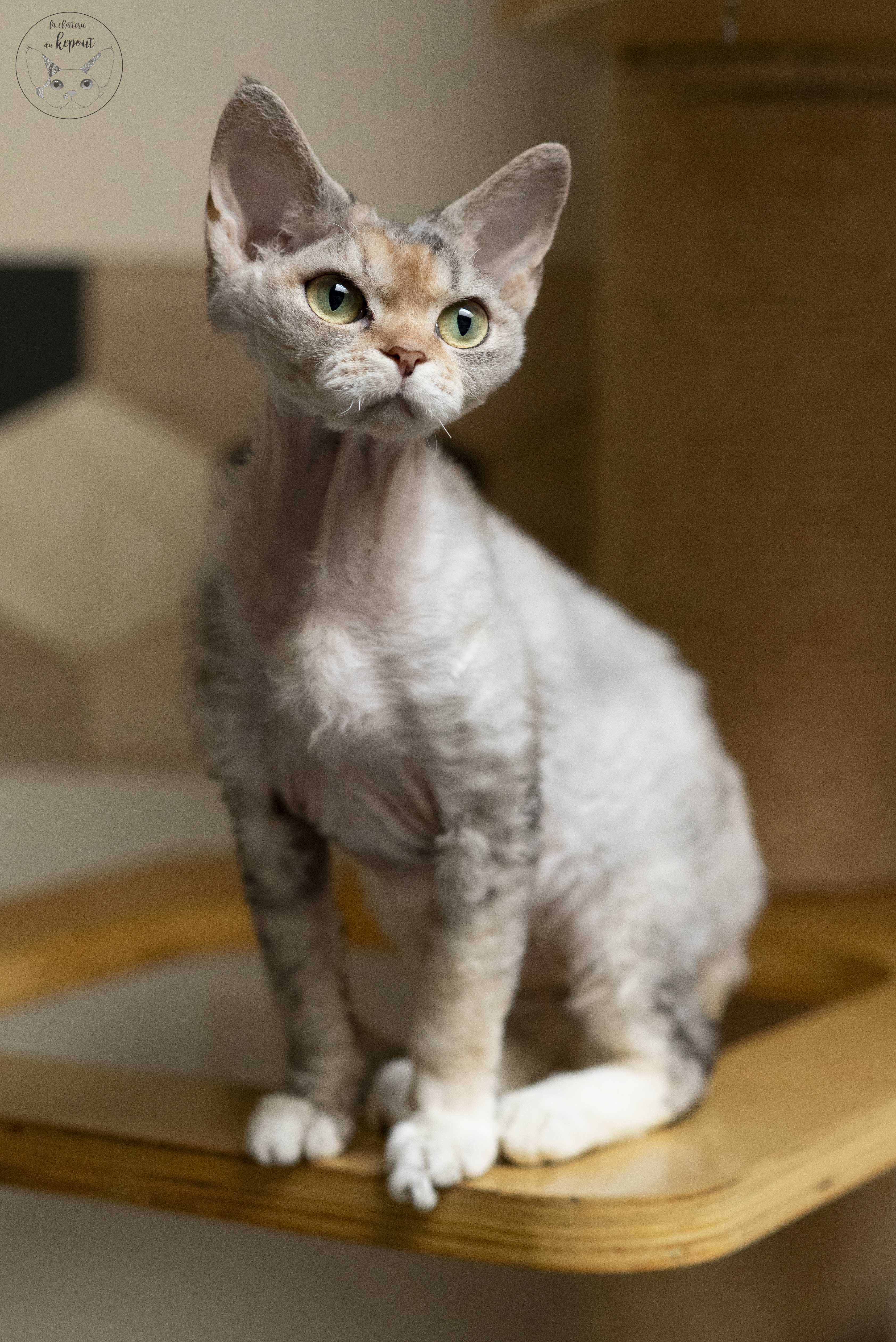 Unity de My Adel'Carr