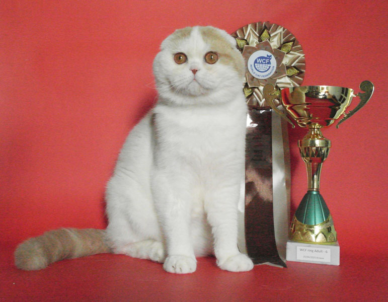 PR. Lukor-Fold Sharhan of Sotas