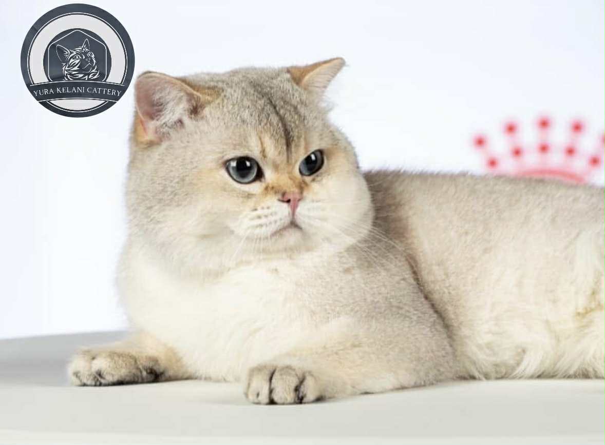 GECH. BriMary Richard