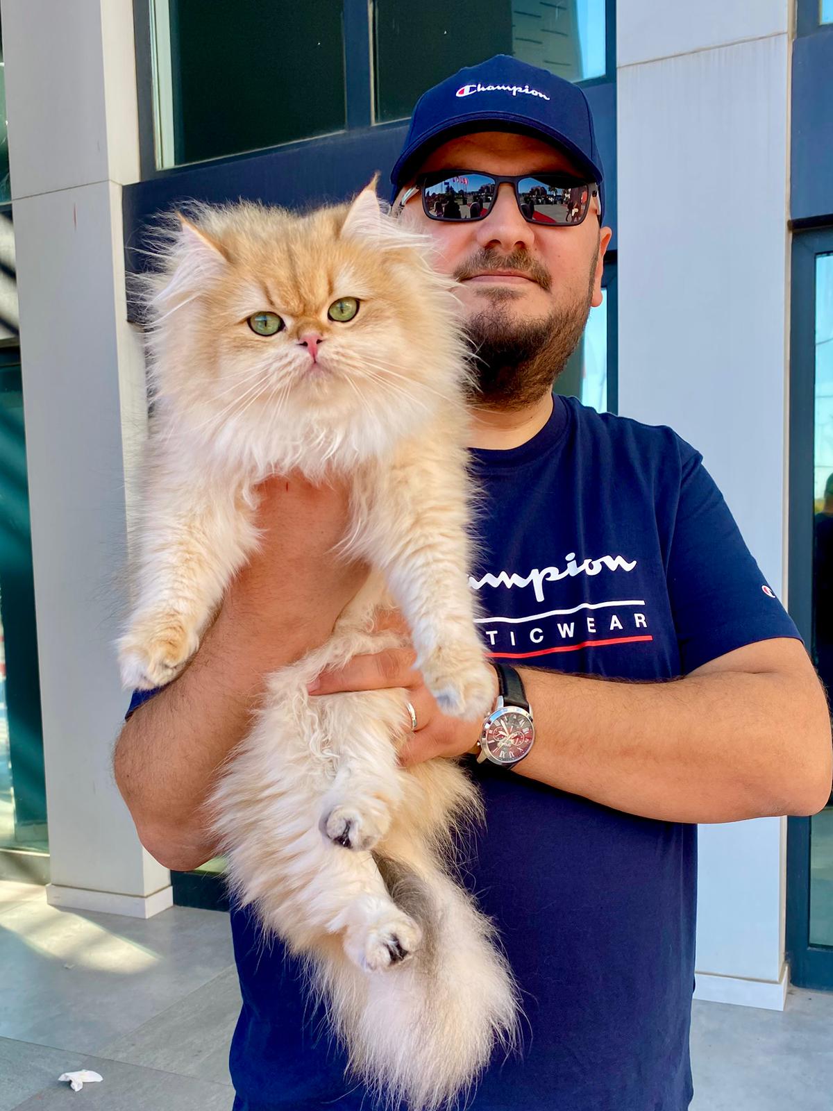 CH. Miss Daisy Camellia