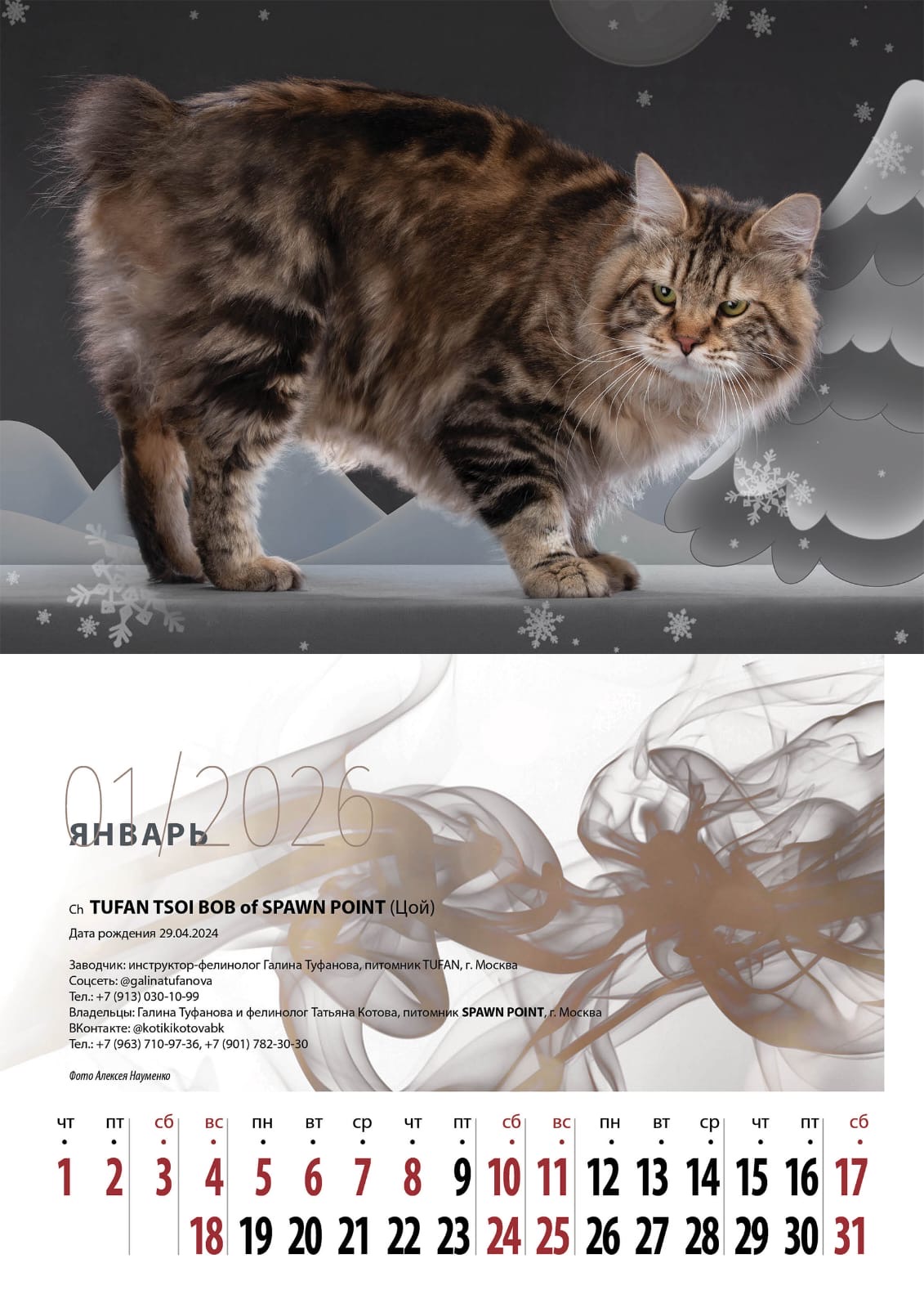 CH. Tufan Tsoy Bob of Spawn Point