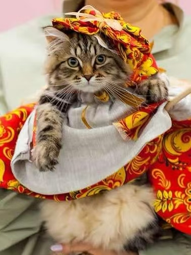 KCH. RUSSIAN WINTER ELZA