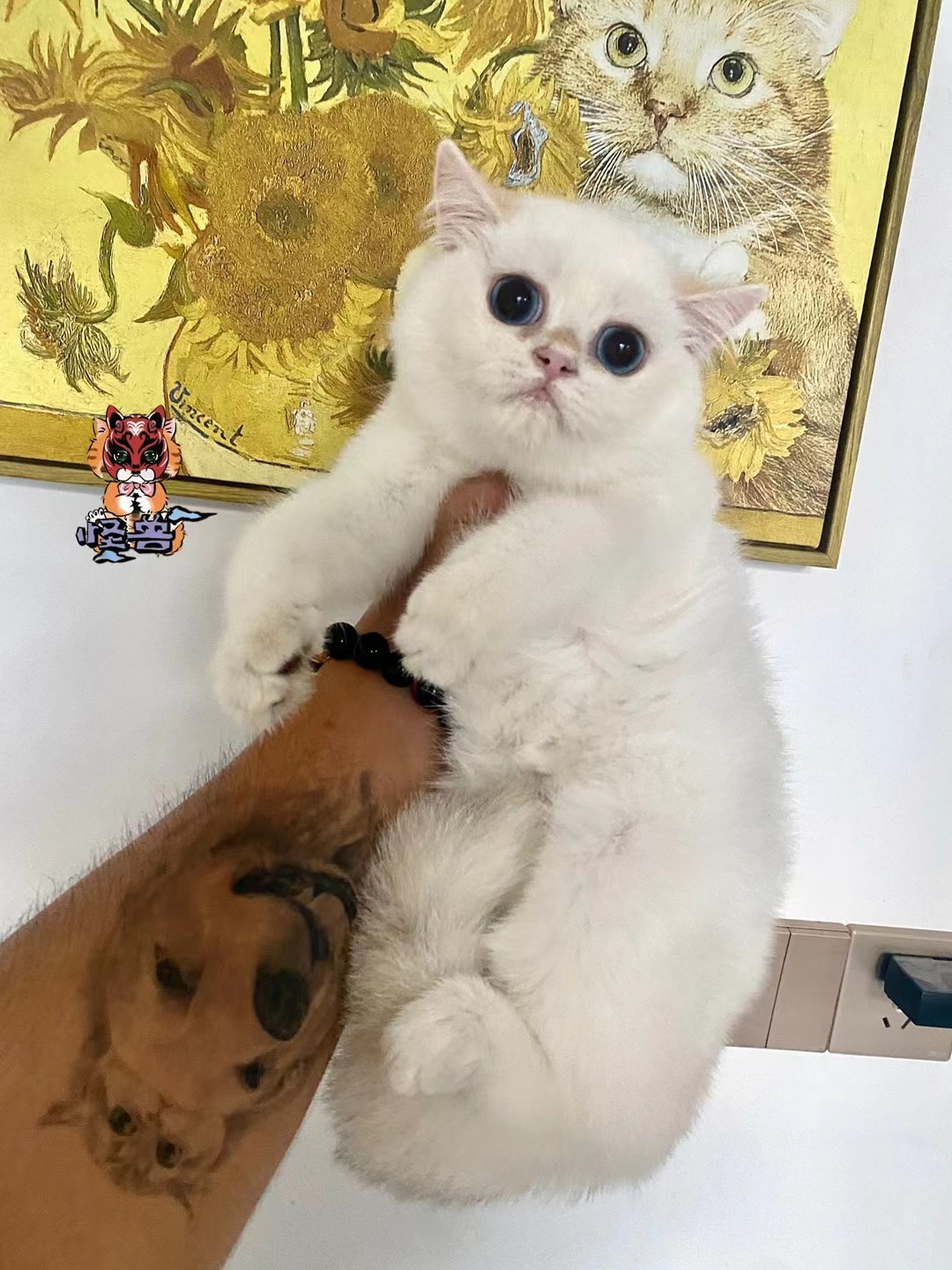 Monster Monster didi