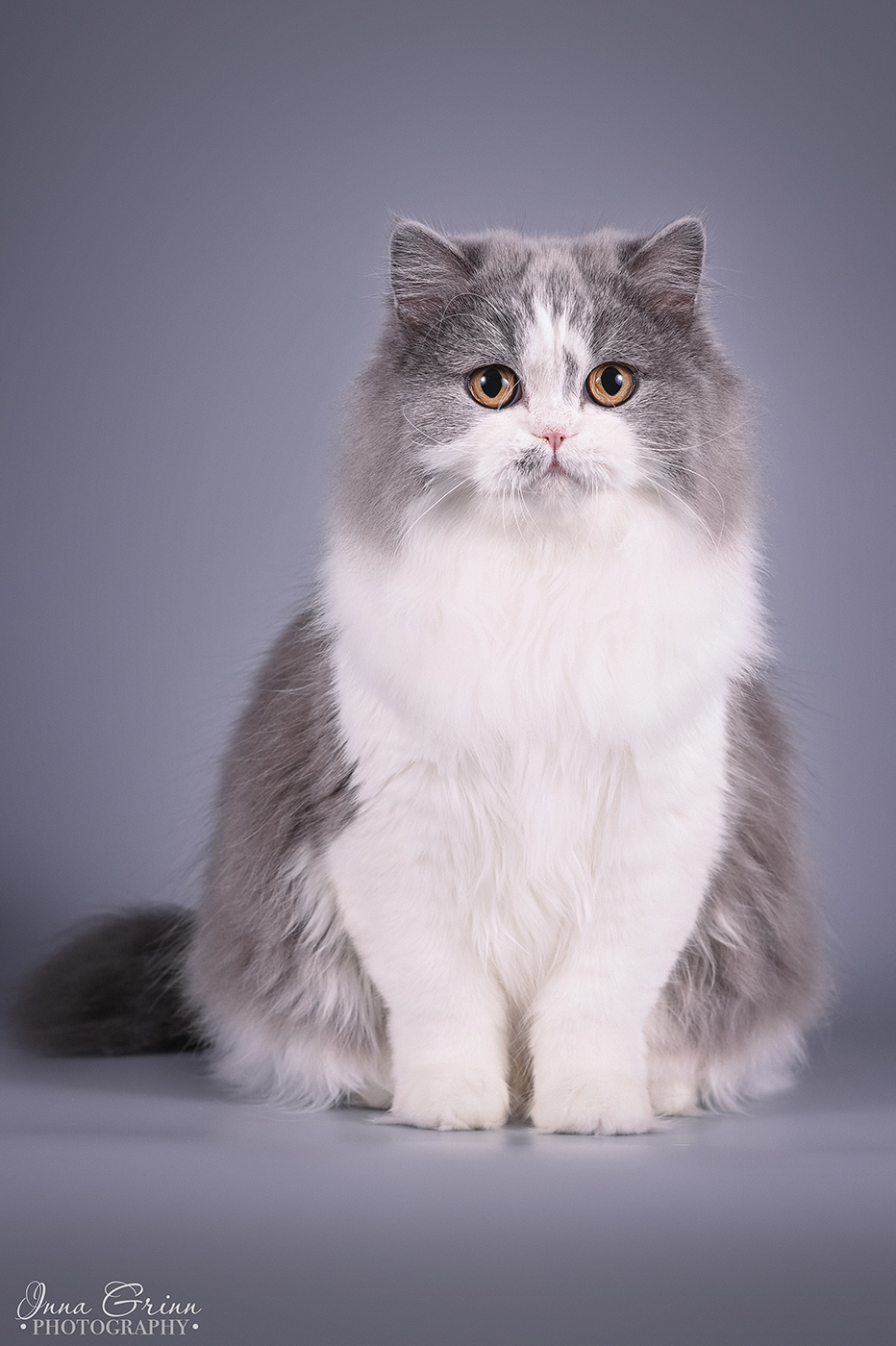 Nabila Trinity Luchero