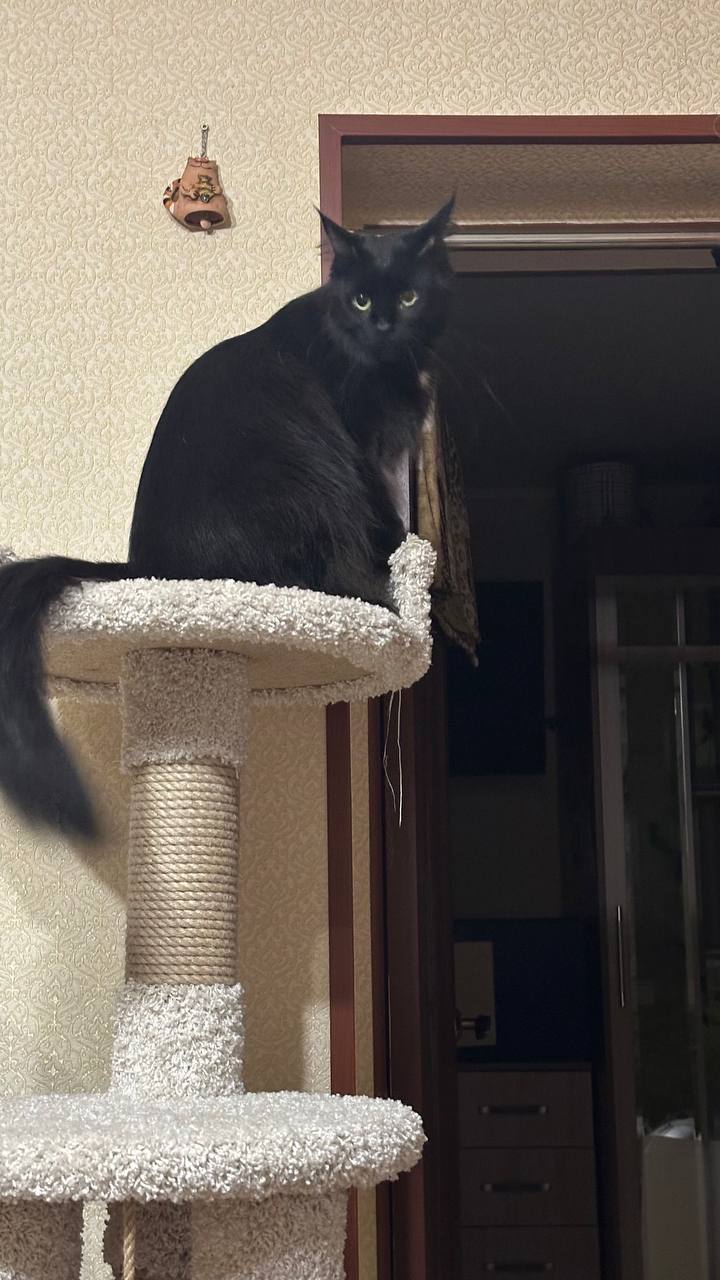 Bayby of Family Avantage