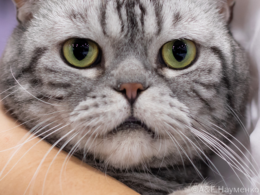 NW'24 Elite Brand's Richard De SAD